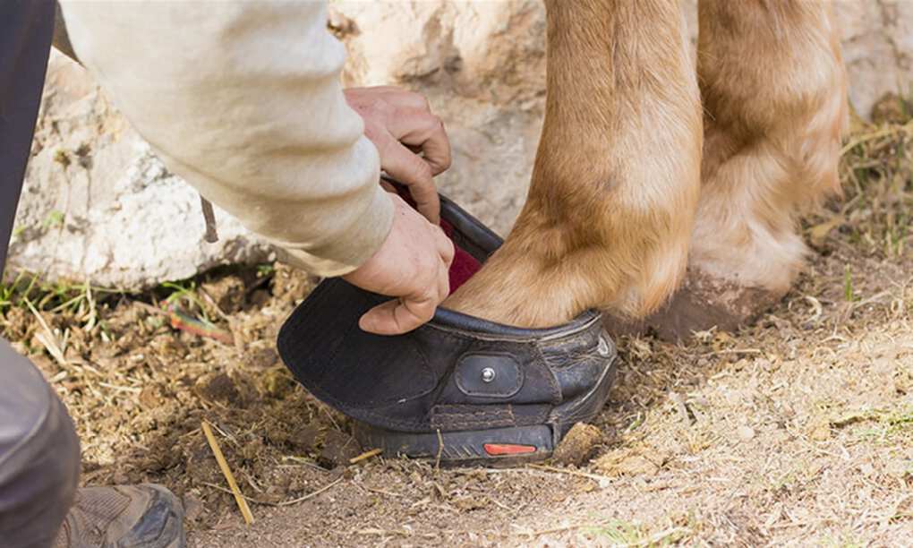 vince sock boots