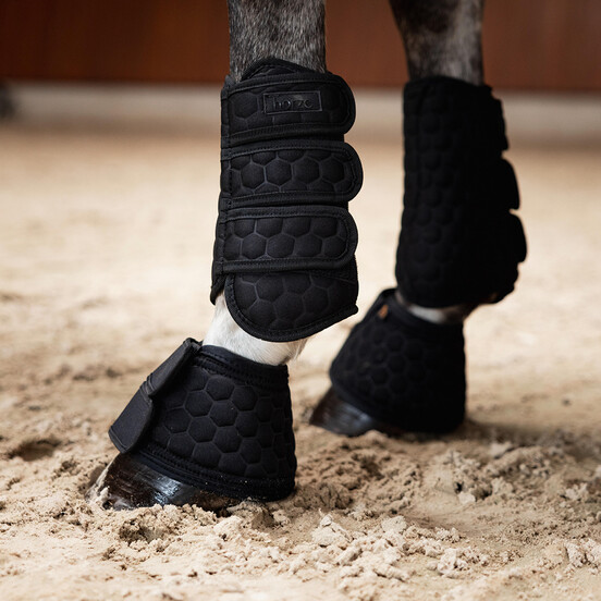 Leg & Hoof Protection