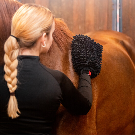 Horse Health Care
