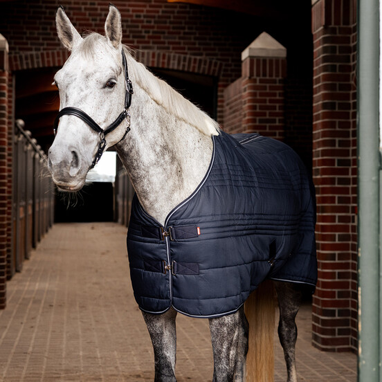 Stable Rugs