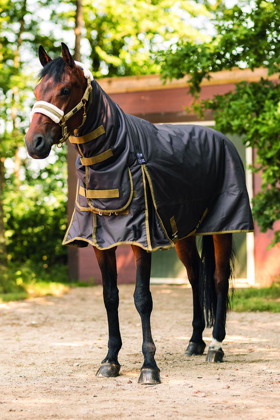 Medium & Heavy Turnout Rugs