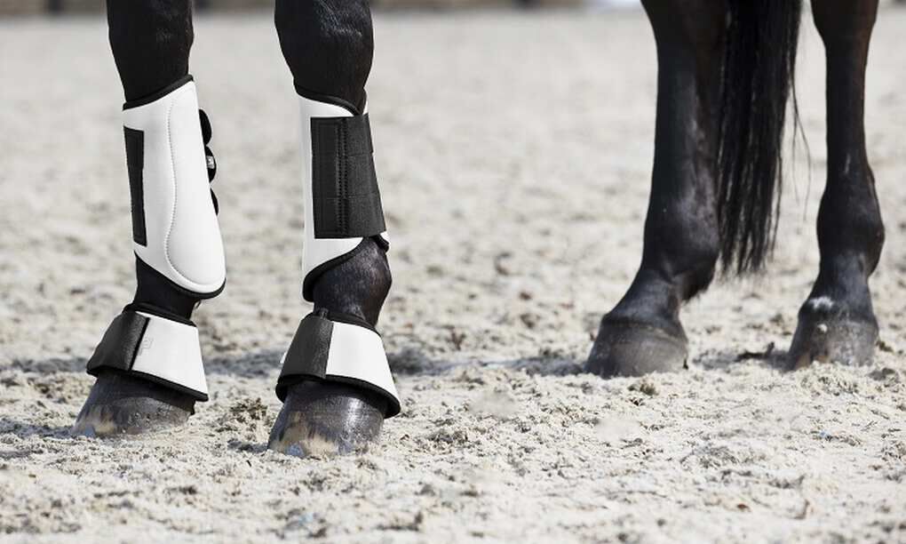Horse protective boots discount