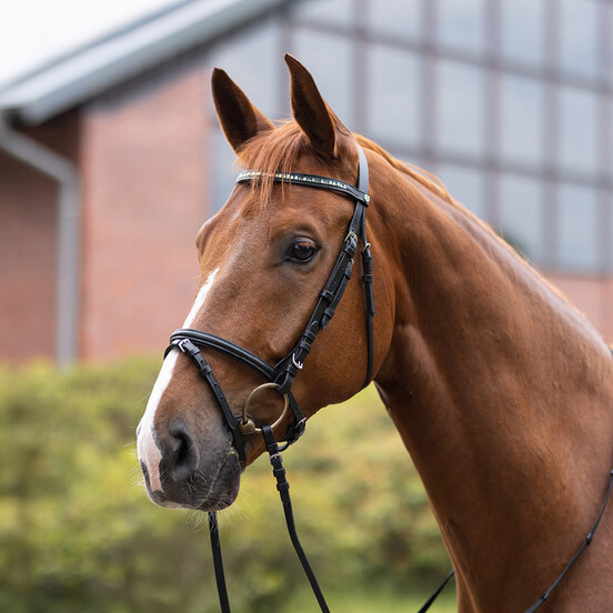 Bridles & Reins
