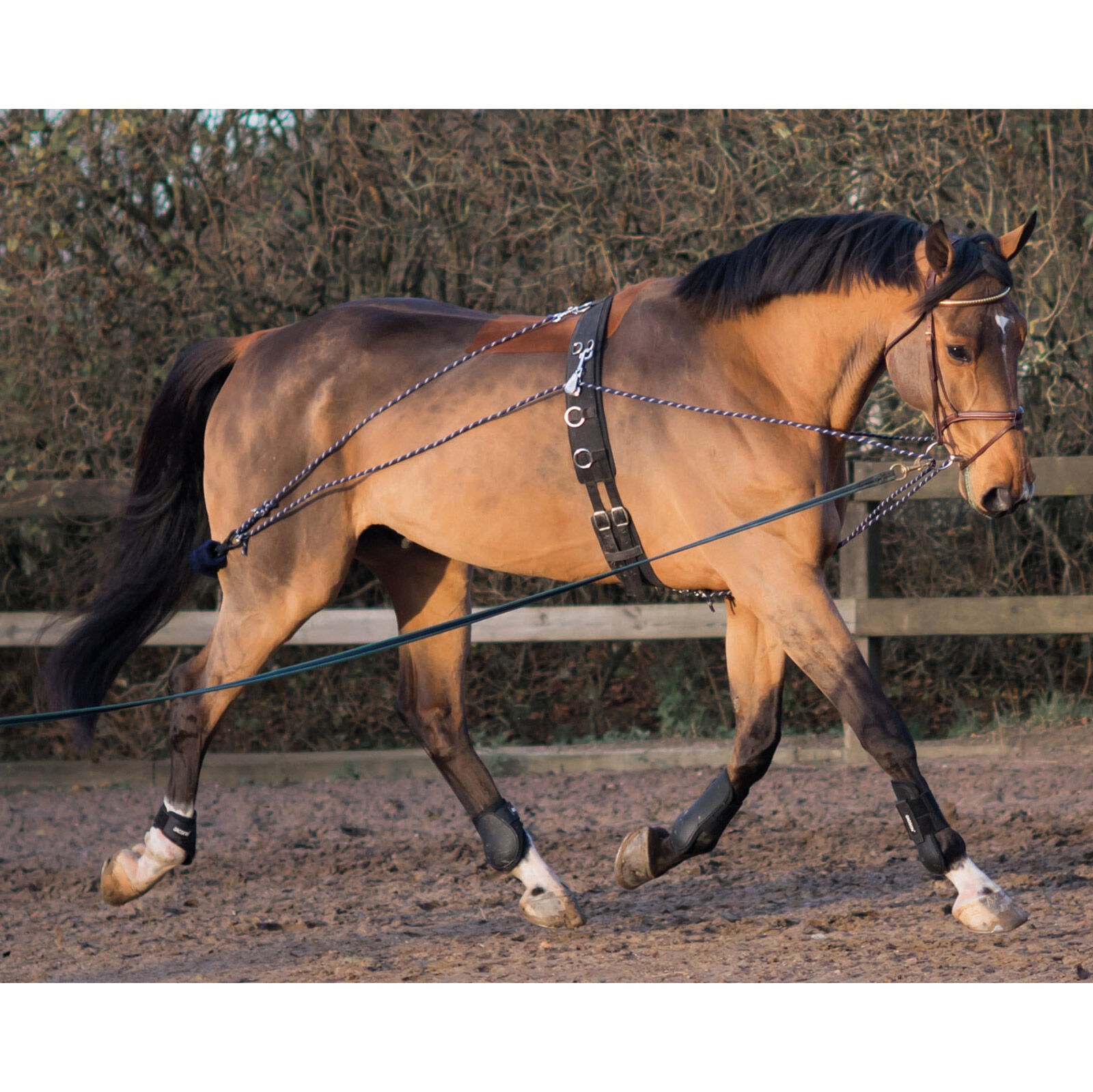 Lunge Line Soft Feel Padded 8 Metre Lunging Horse Training Long Rein 