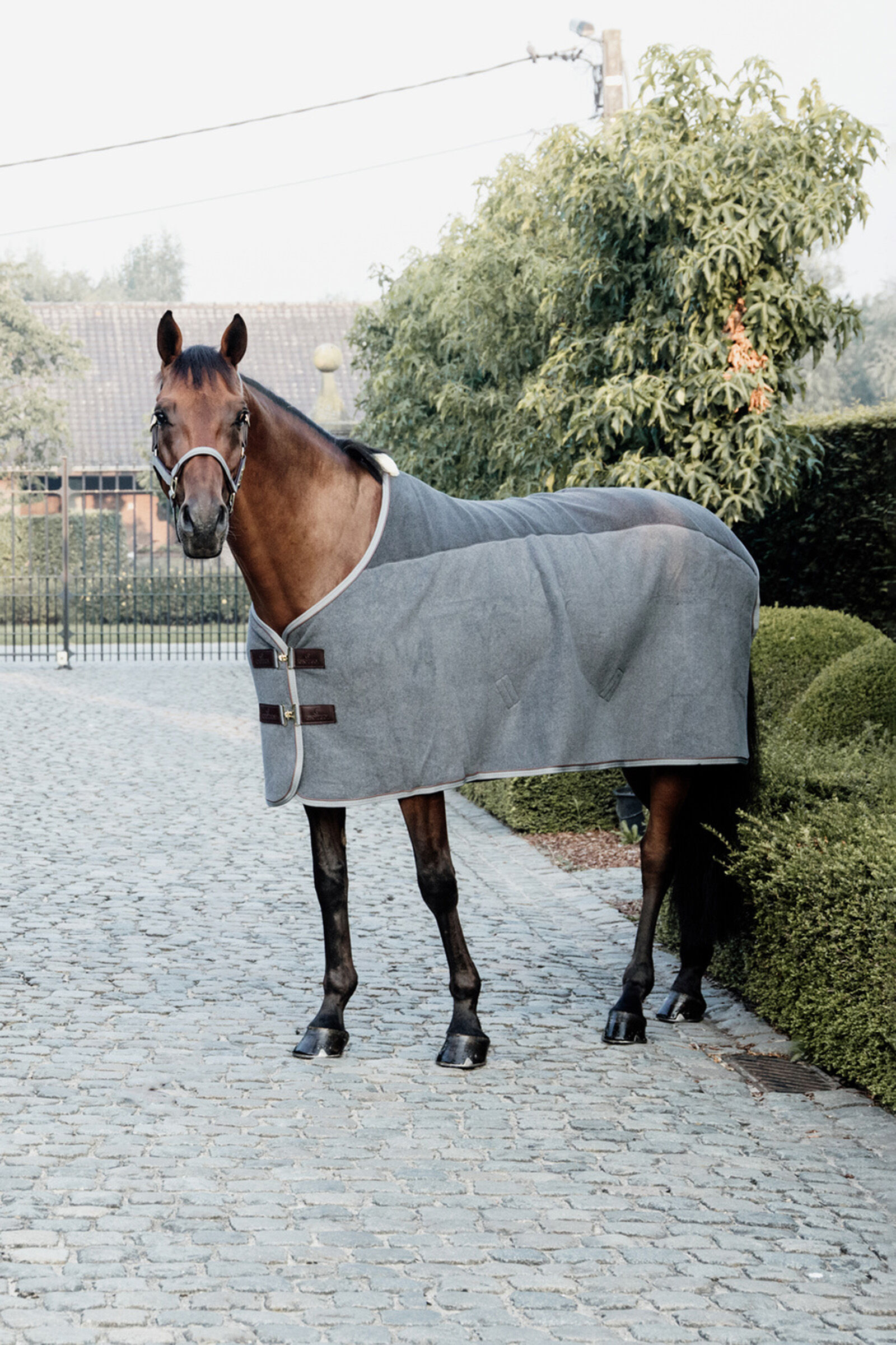 Details about   Kentucky Horsewear Cooler Fleece Rug Abschwitzdecke 