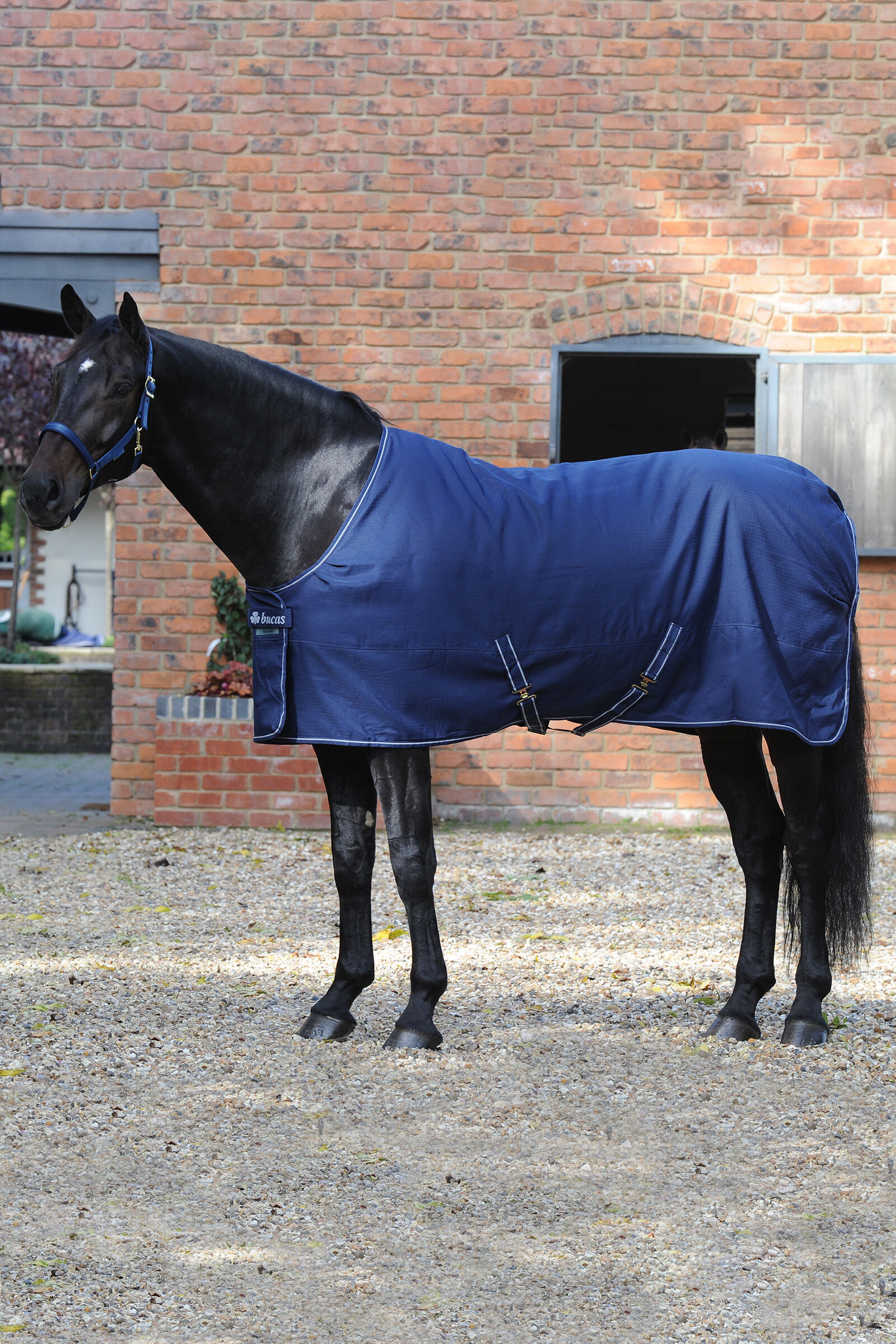 Bucas couette grand col 150 SD Stable Rug 