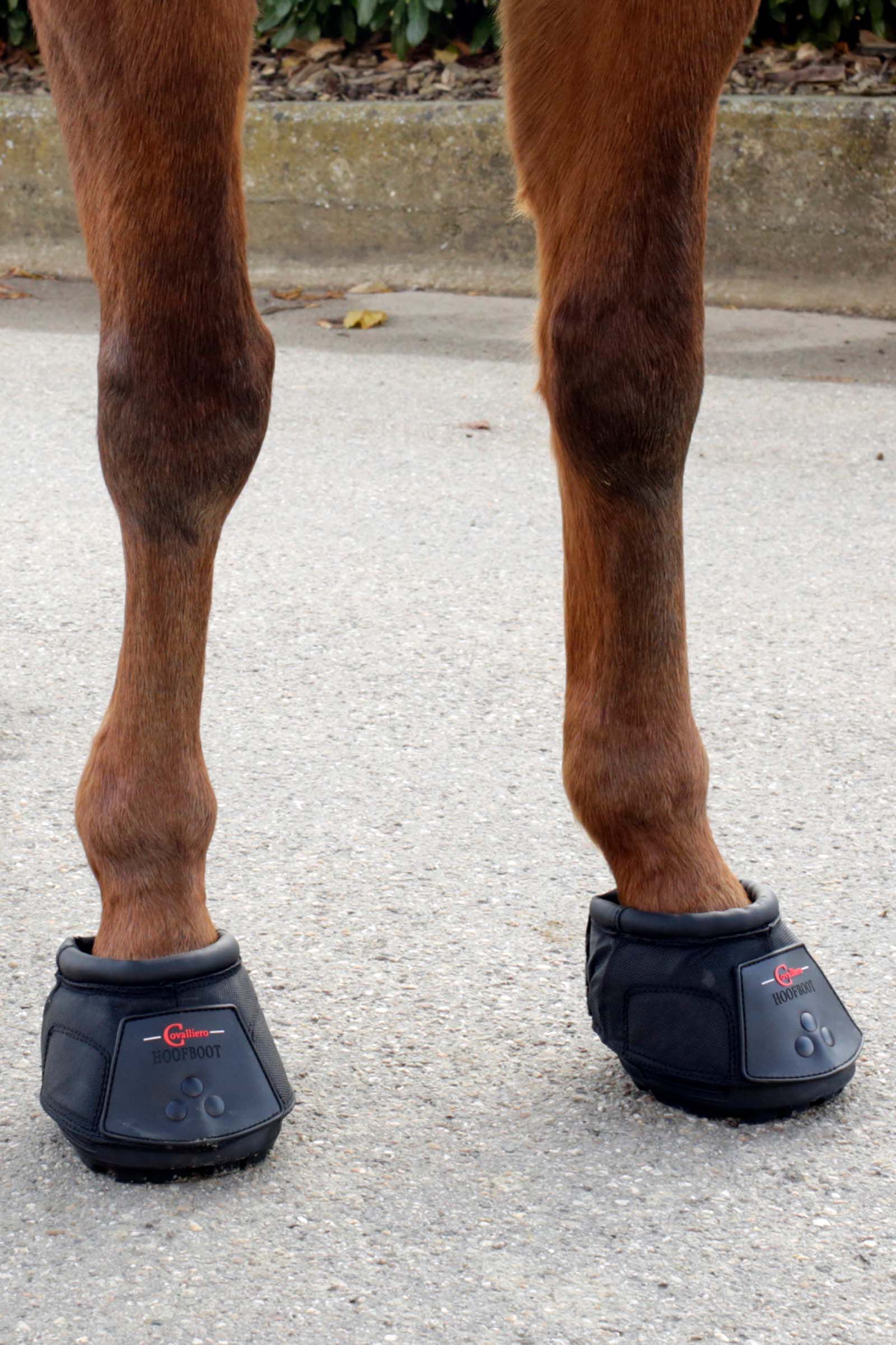 Hoof protection boots top