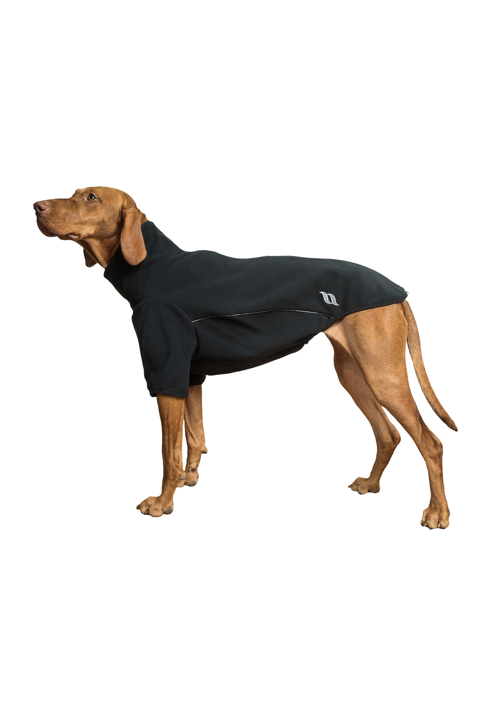 Back on track jackets for dogs online