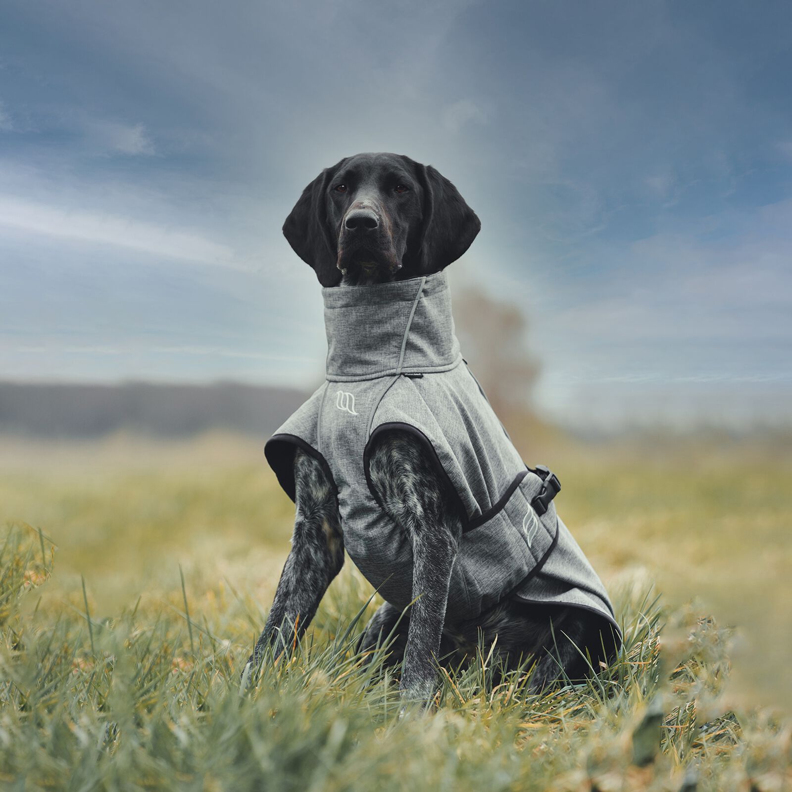 Back on clearance track dog coats