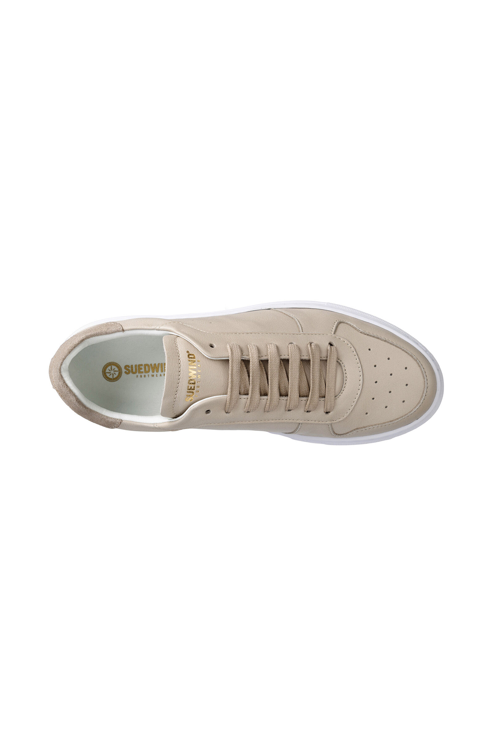 Buy Suedwind Footwear Copenhage Leather Sneakers horze.eu
