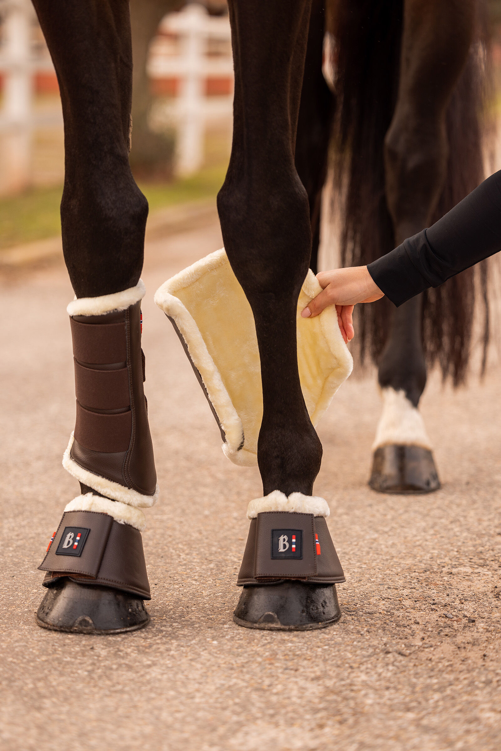 B and deals q wellington boots