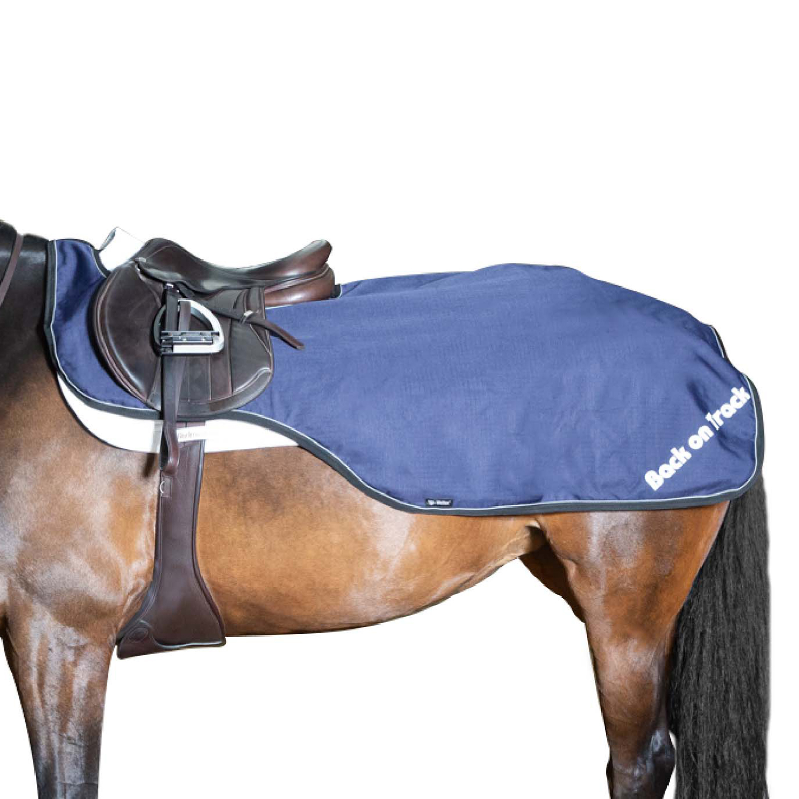 Exercise Sheets for Horses & Riding Rugs horze.eu