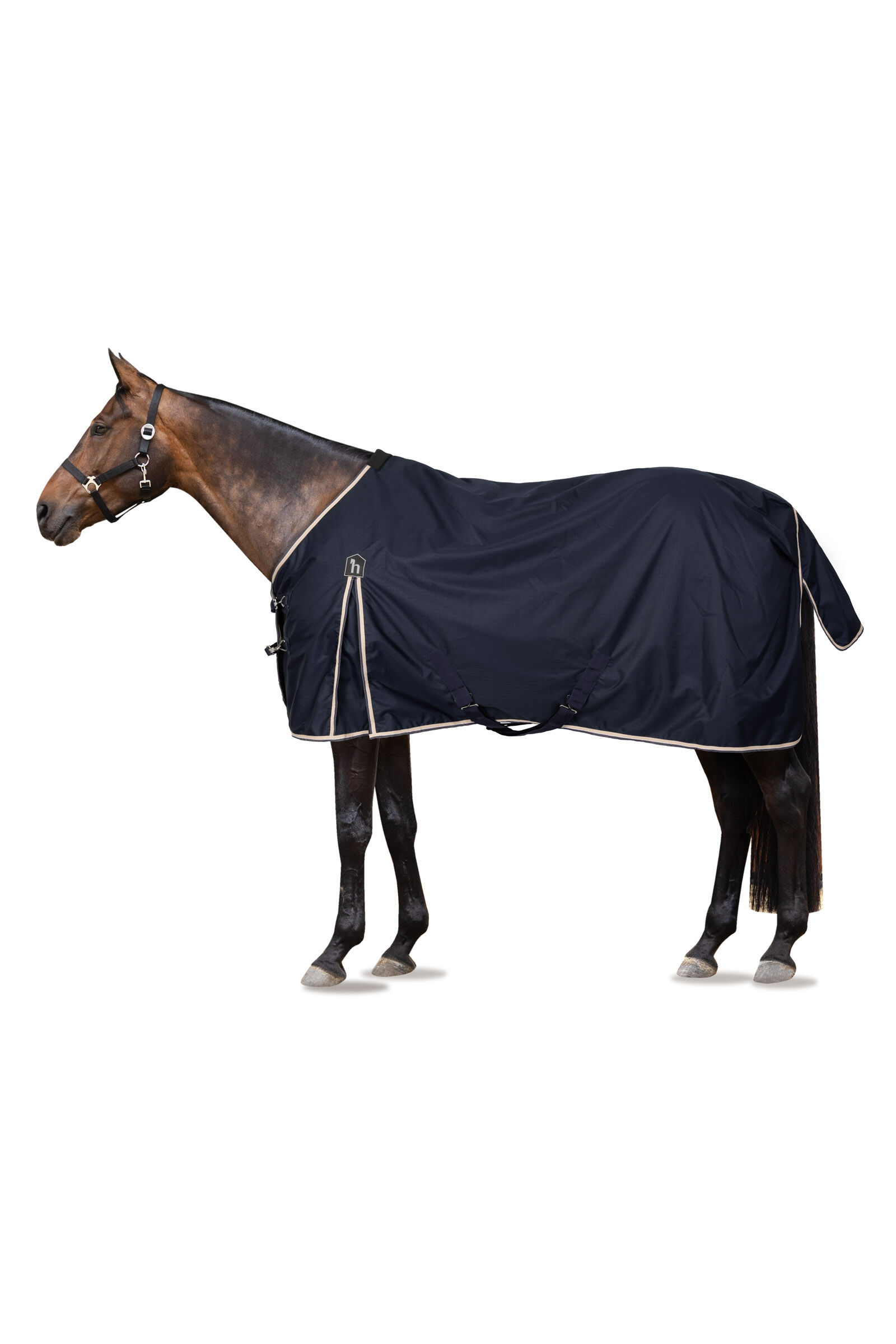 Horse Equipment Equestrian Clothing Riding Gear horze.eu