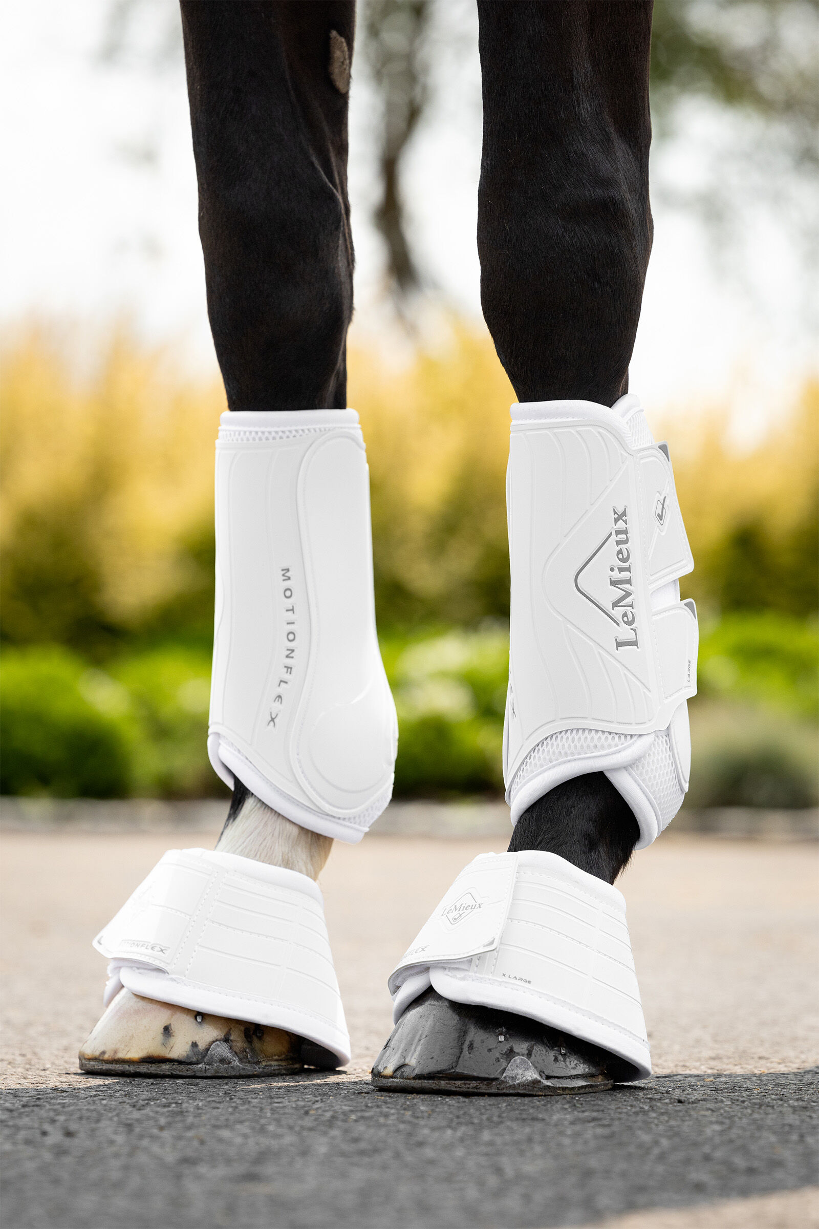 White dressage boots outlet