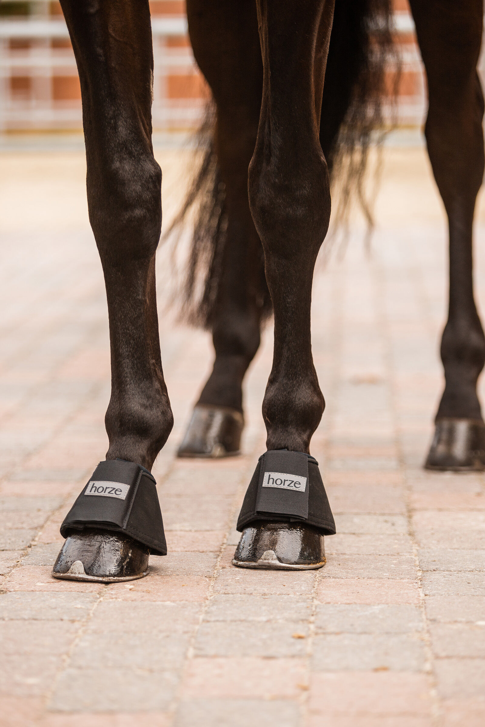 Horze overreach boots sale