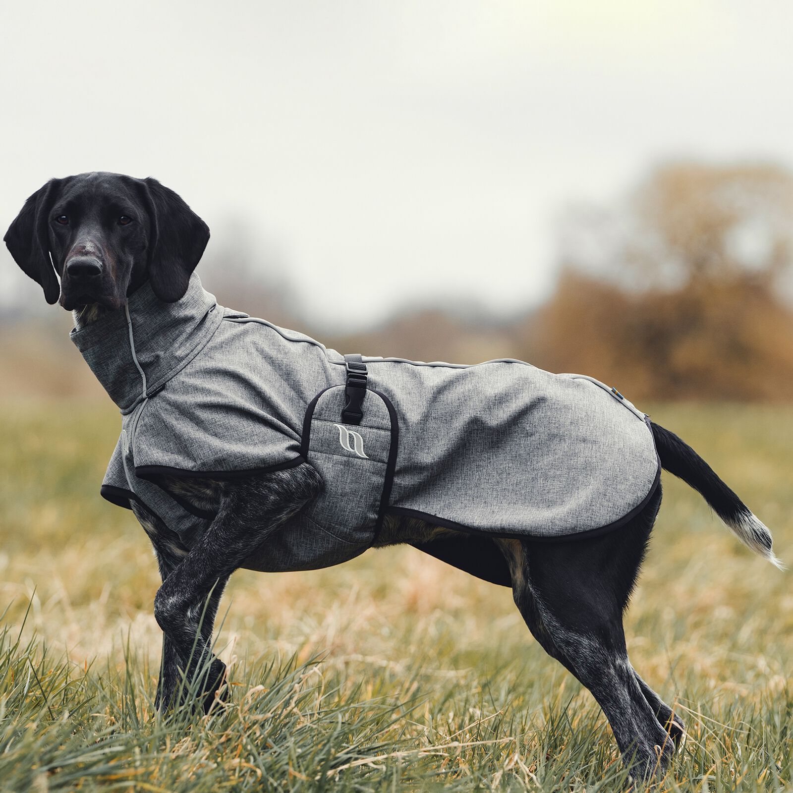 Back on track 2025 jackets for dogs