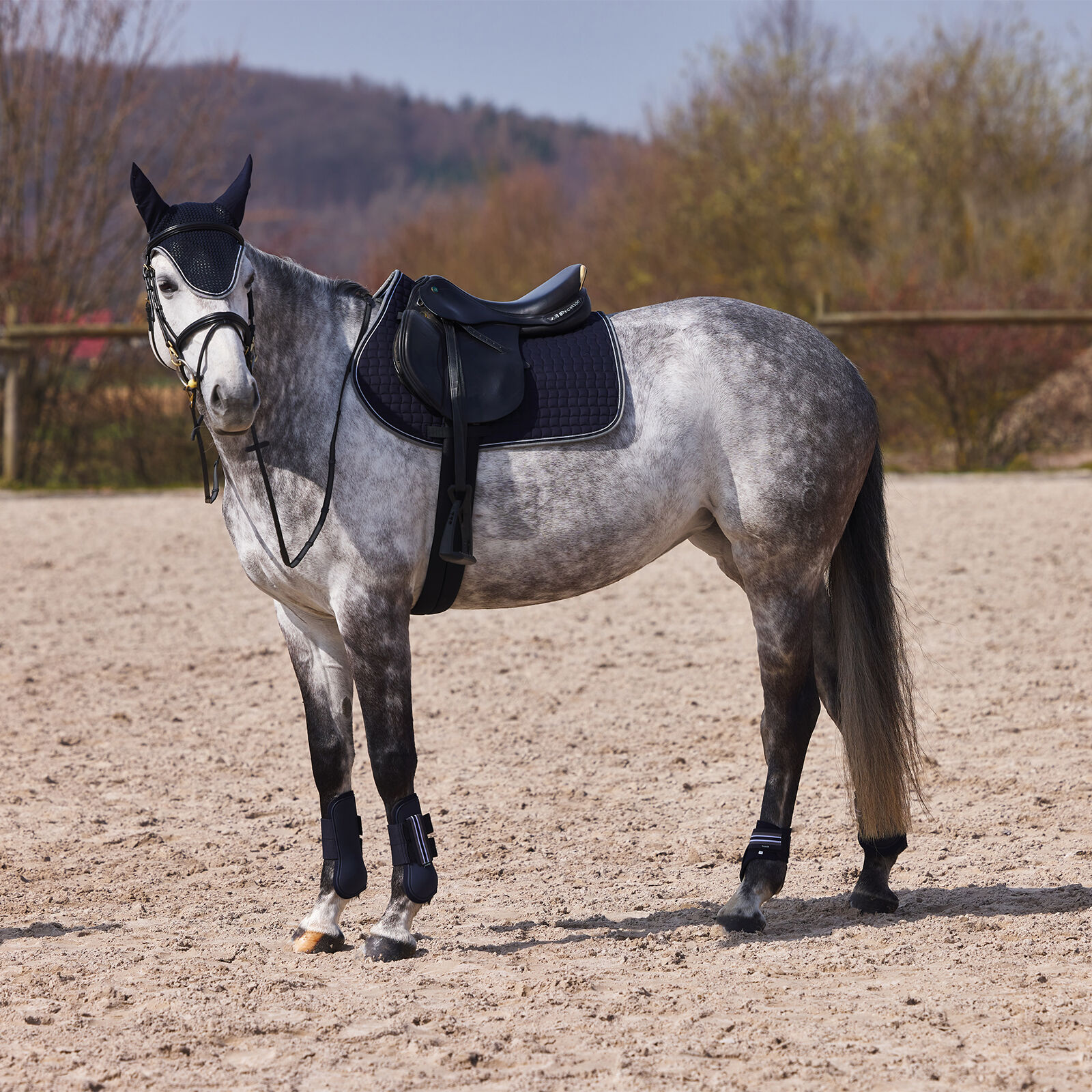 Grey horse boots discount