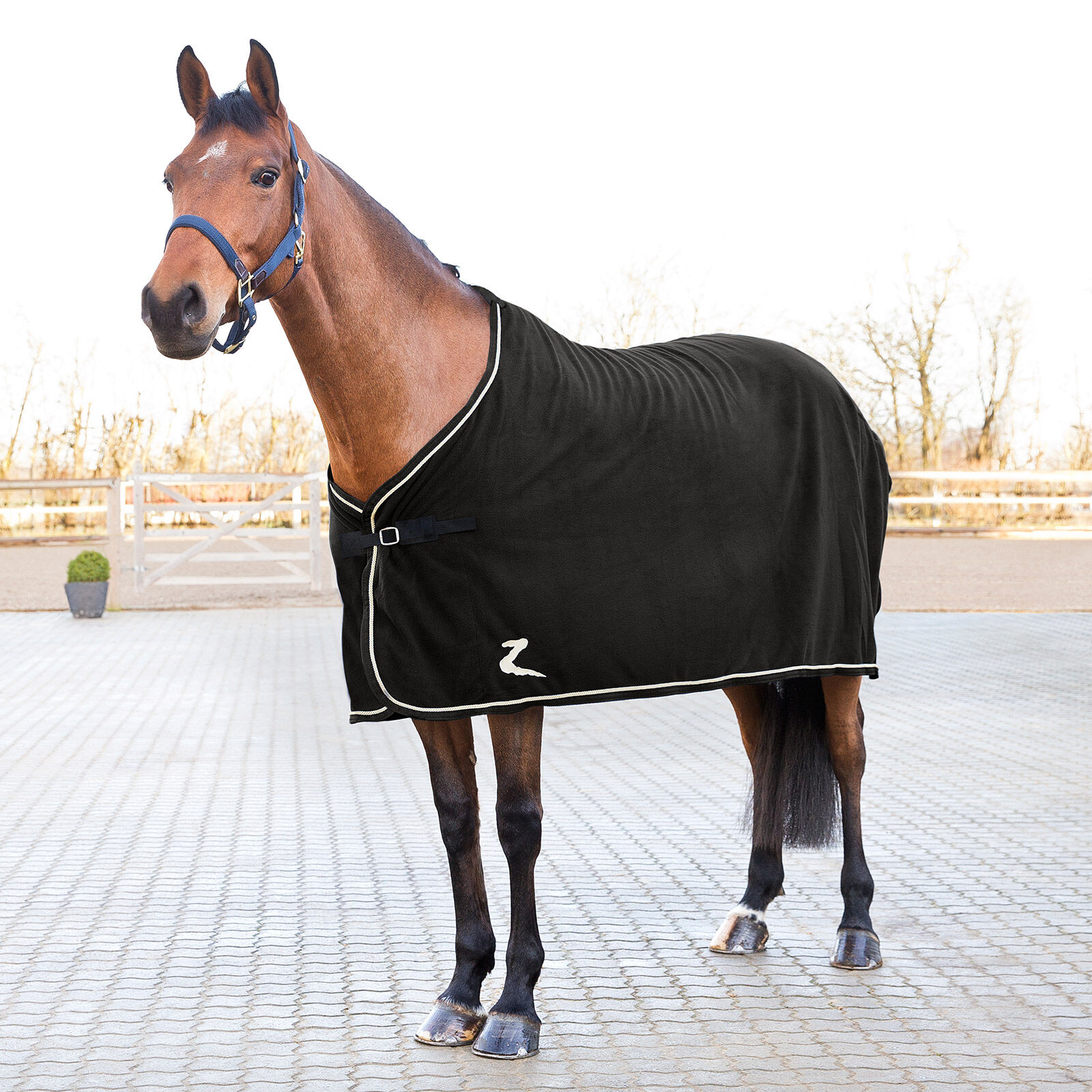 Horse cooler shop