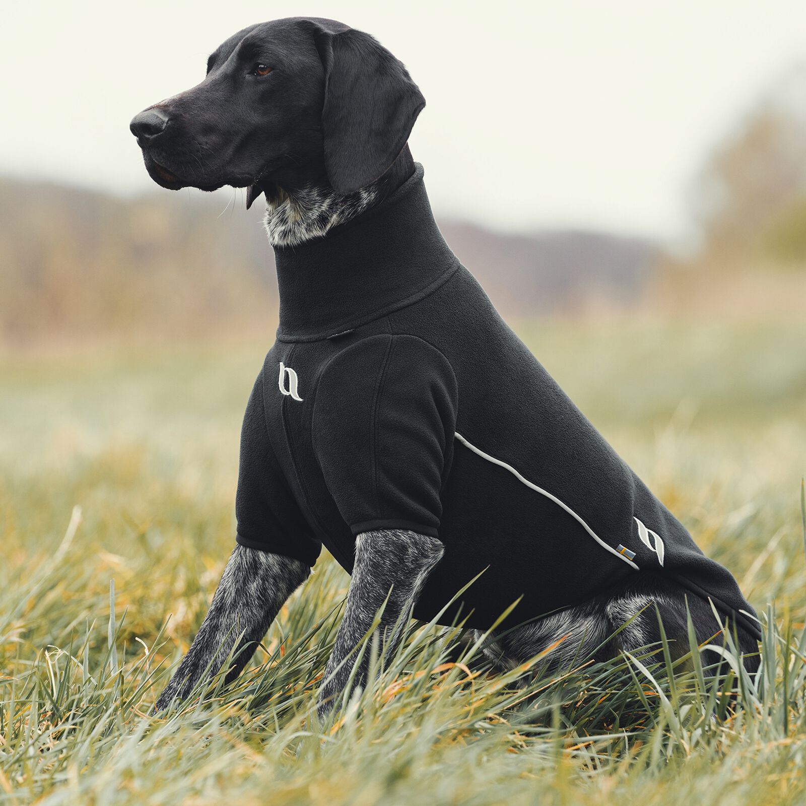 Buy Back on Track Cassie All Weather Jumper 65 70cm horze.eu