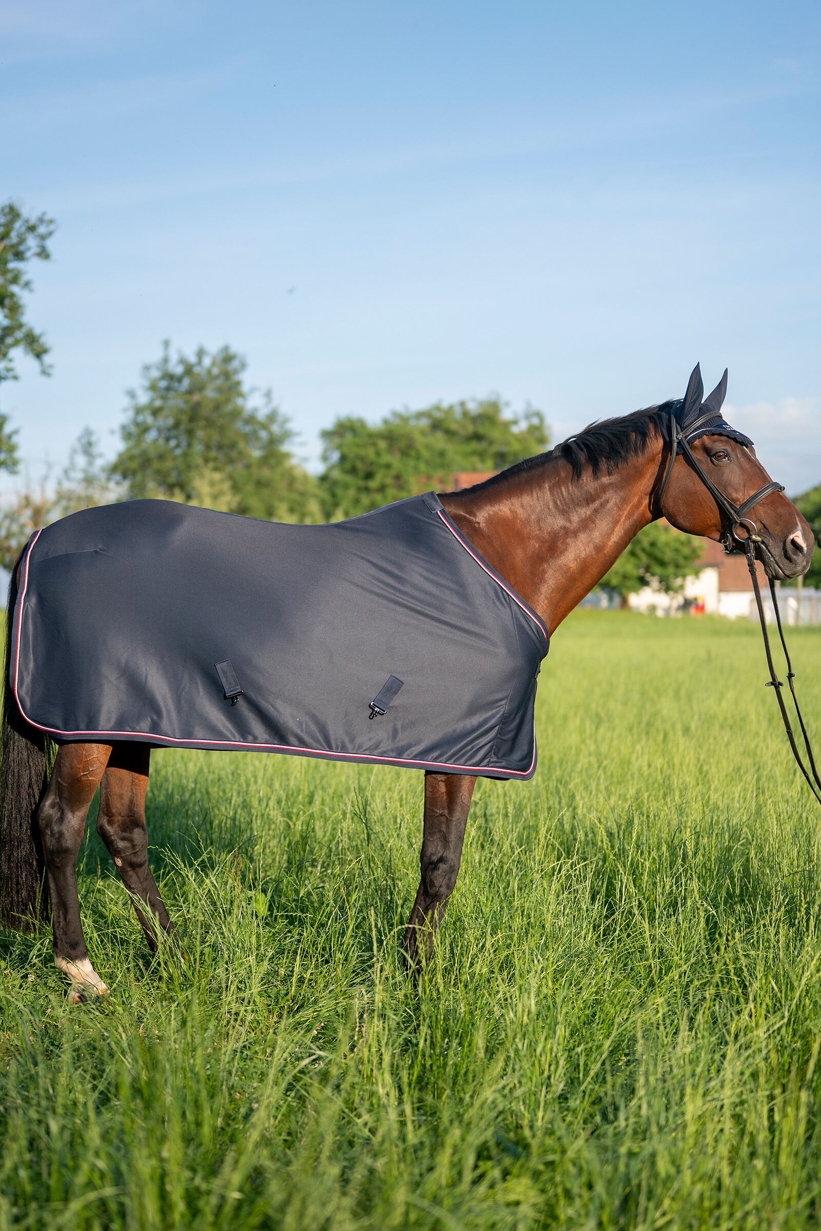 Tommy sales hilfiger rugs