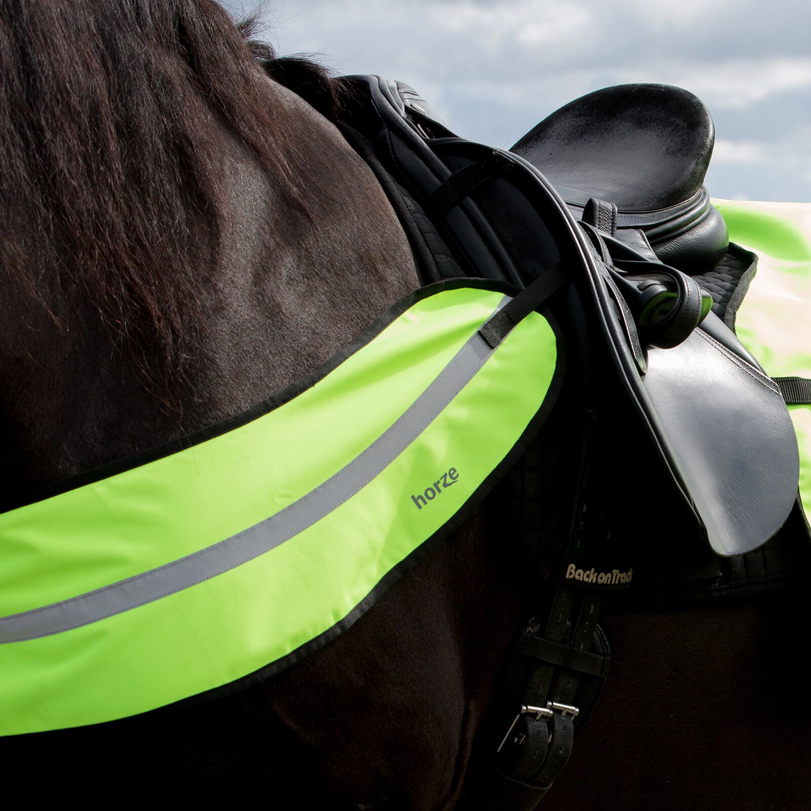 Buy Horze Reflective Harness horze.eu