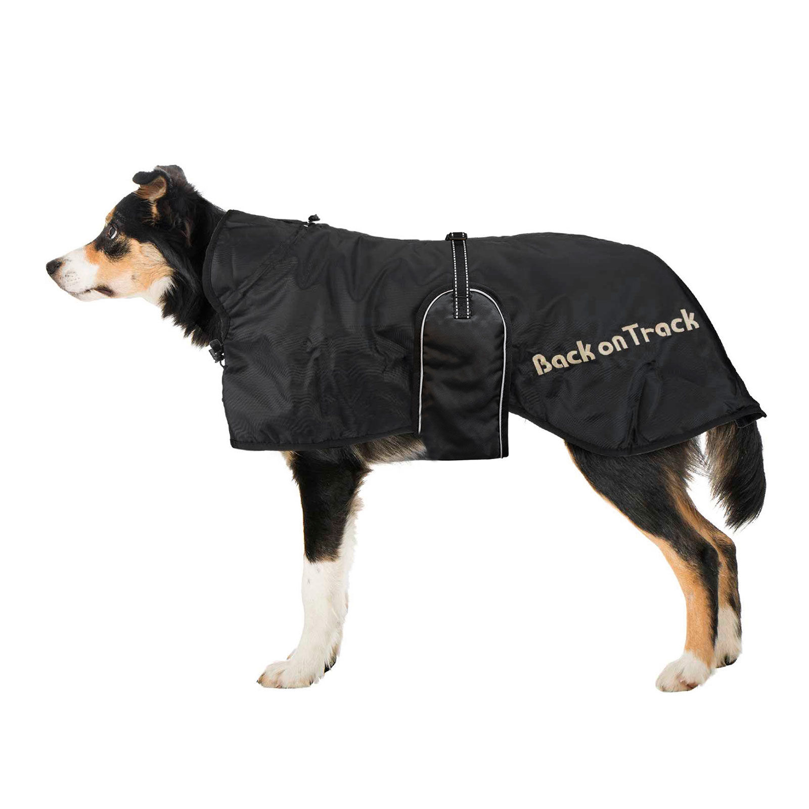 Buy Back on Track Dog Rug 63 91 horze.eu