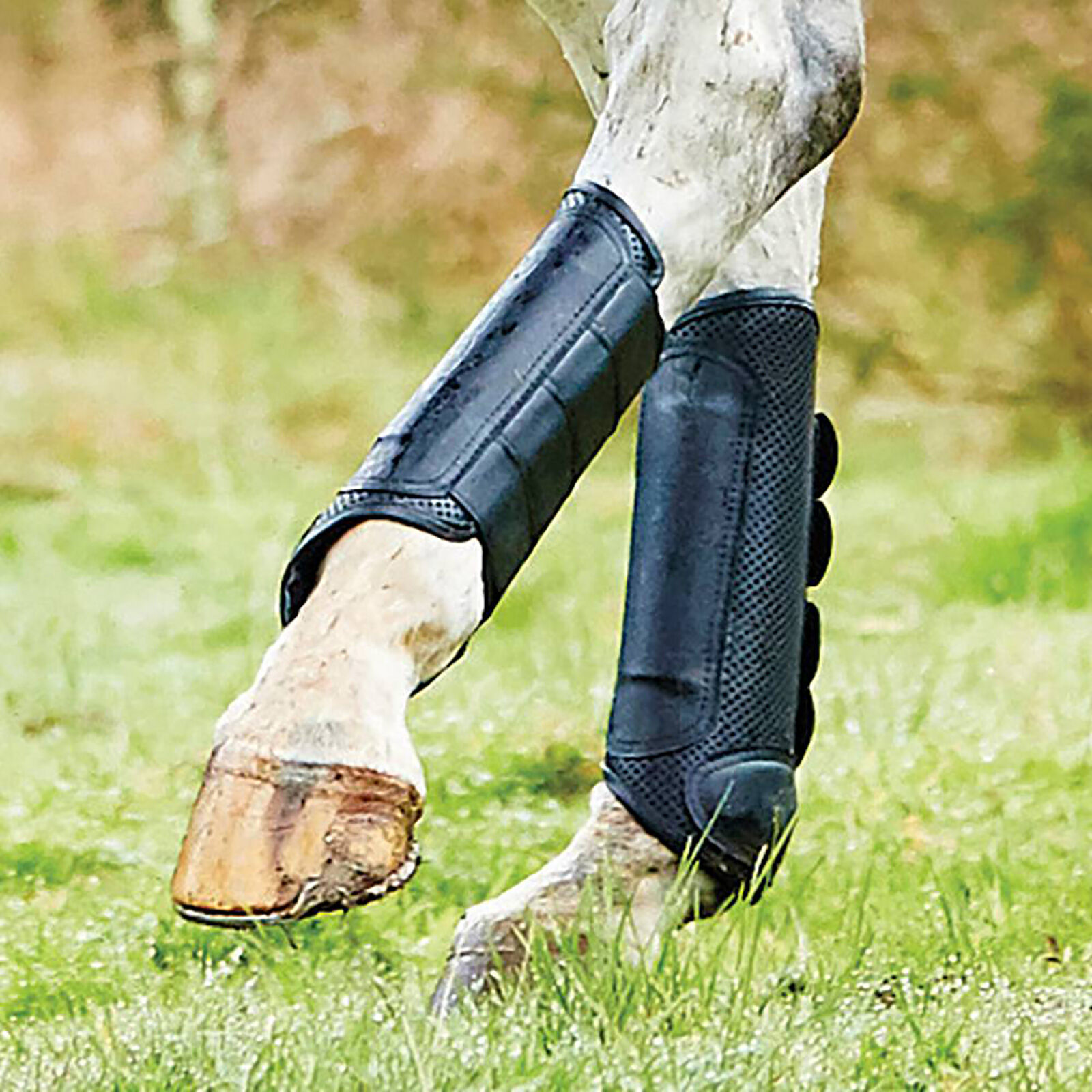 Weatherbeeta on sale shipping boots