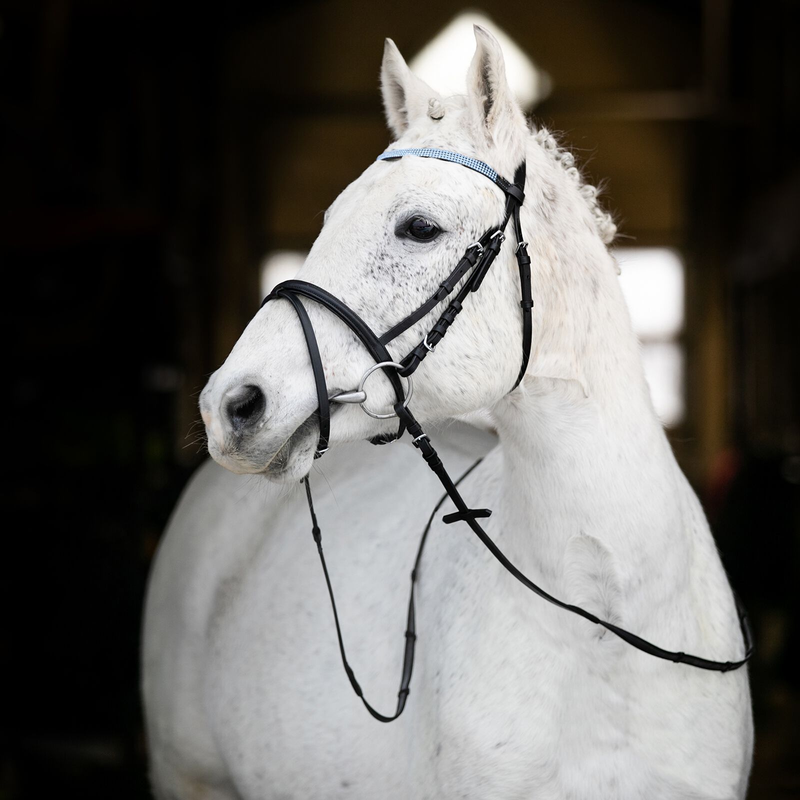 Pony bridle hotsell