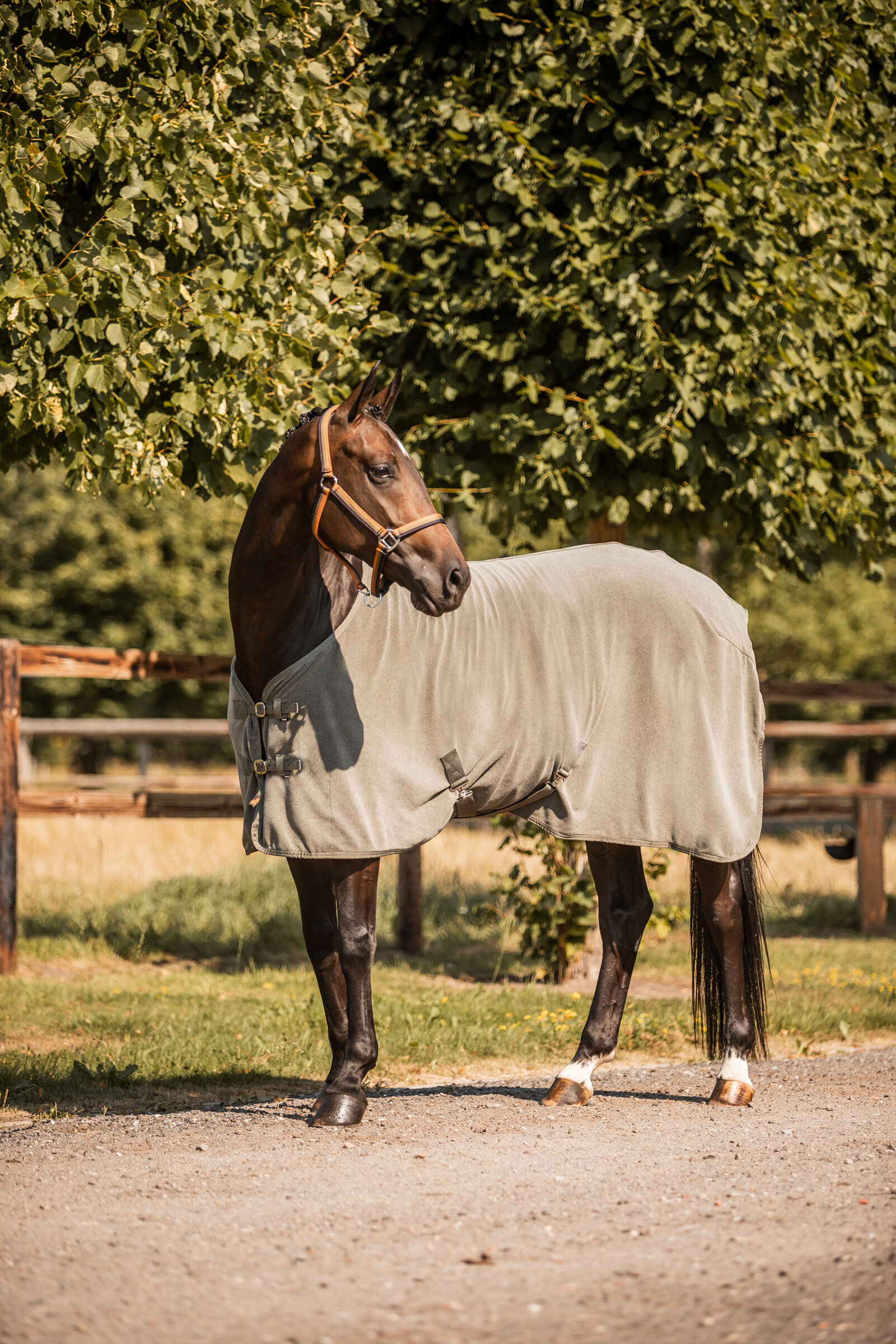 Buy Horze Sandnes Fleece Cooler Rug horze.eu