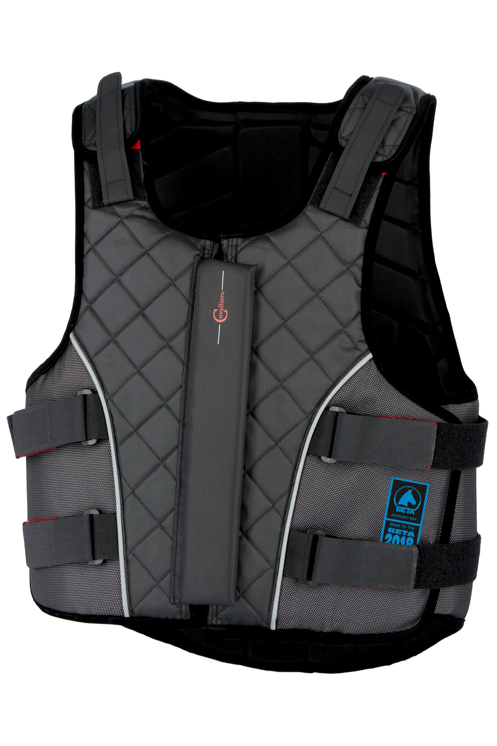 Equine safety vest online