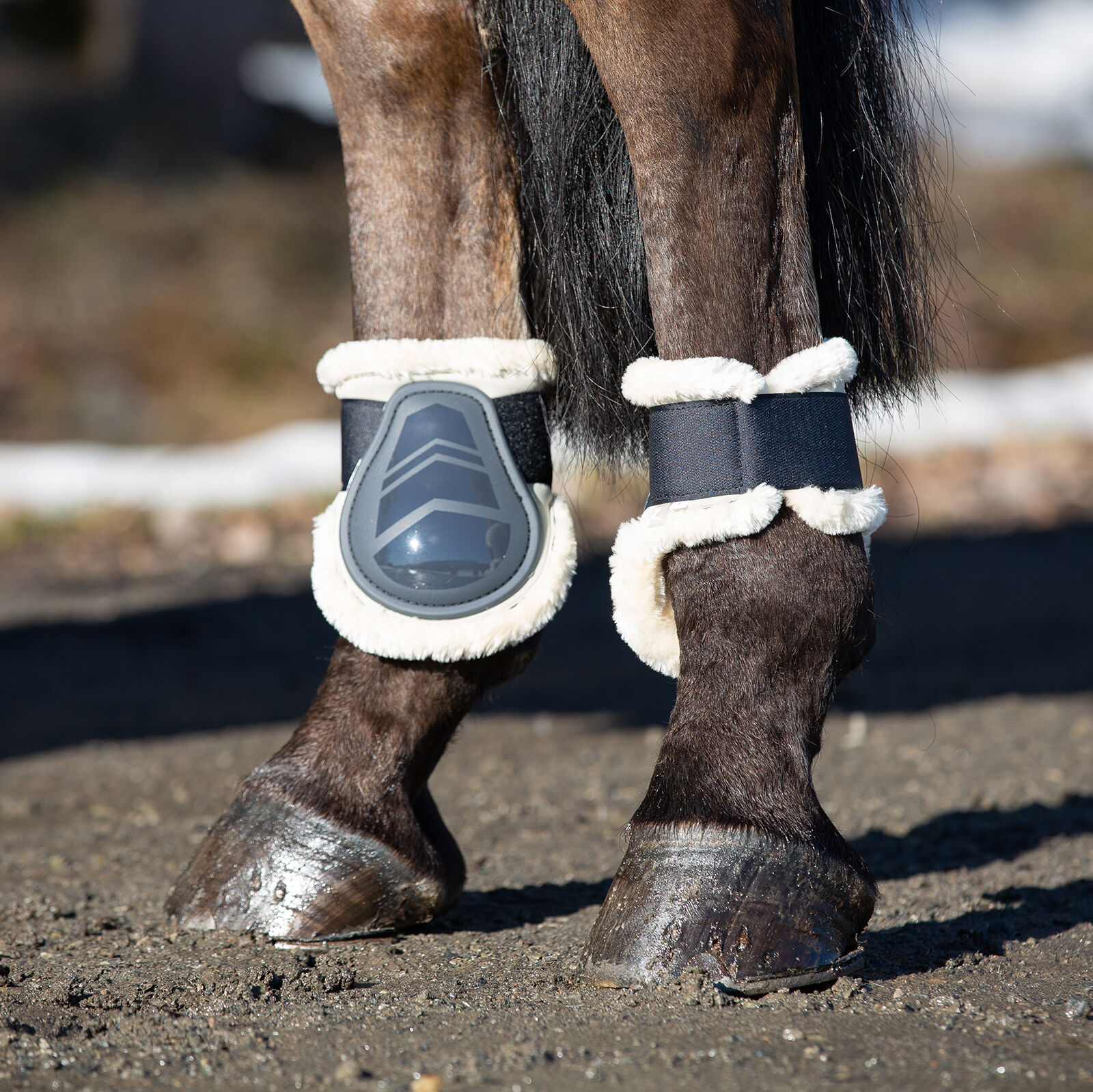 Horze online fetlock boots