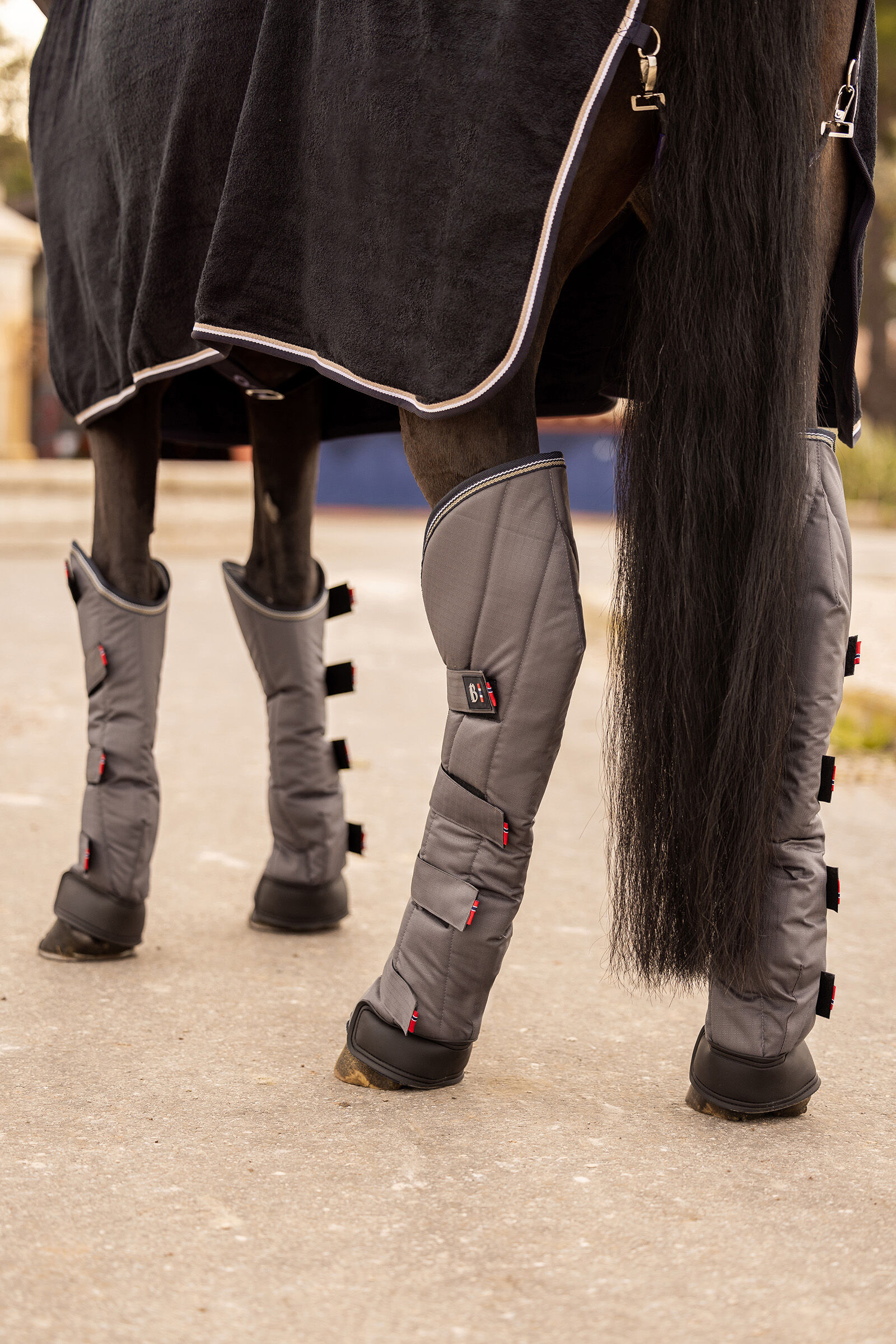Horse shipping boots outlet