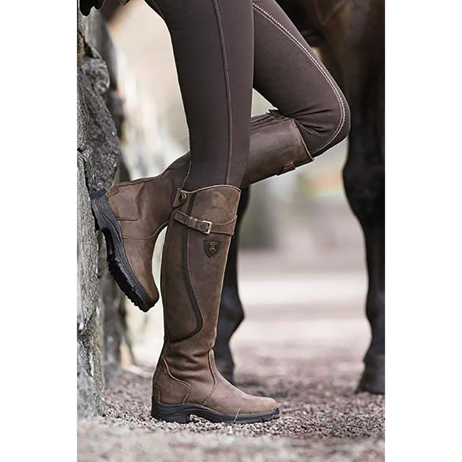 sammen beundring Anden klasse Mountain Horse | horze.eu