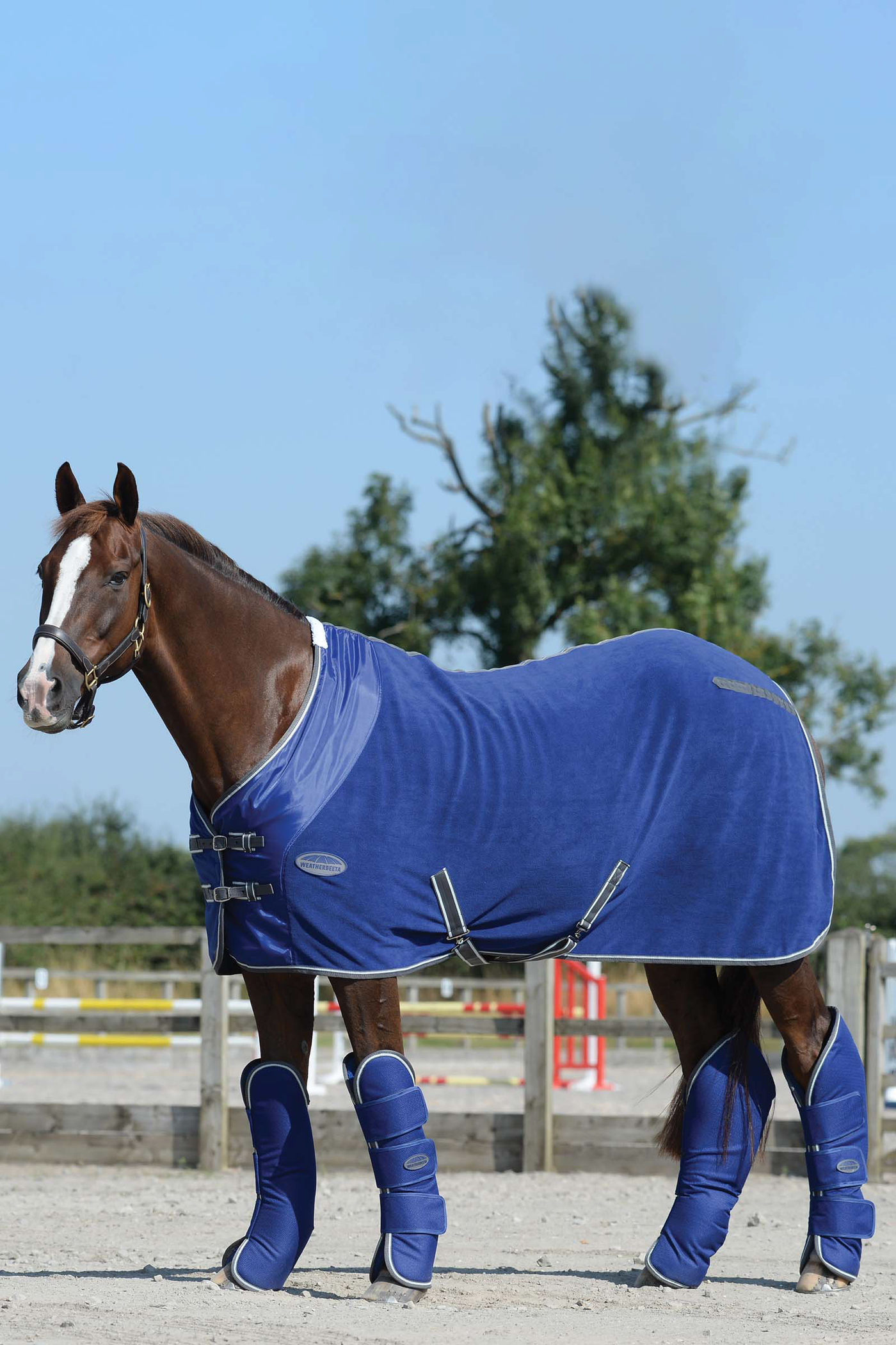 Weatherbeeta horse clearance boots