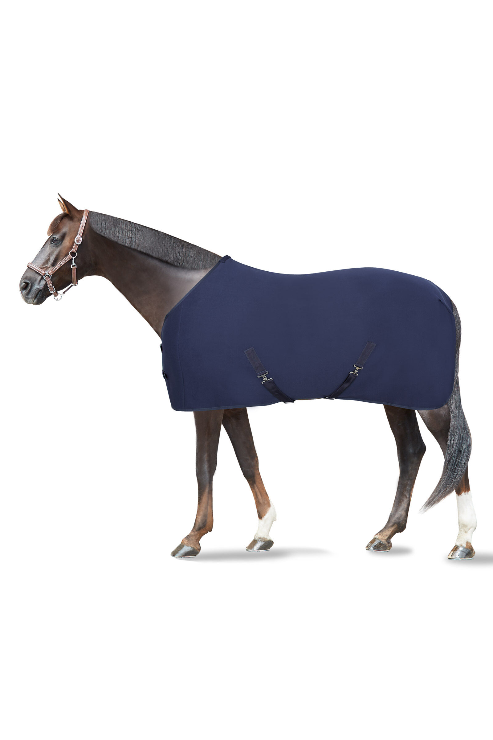 Where to shop buy horse tack