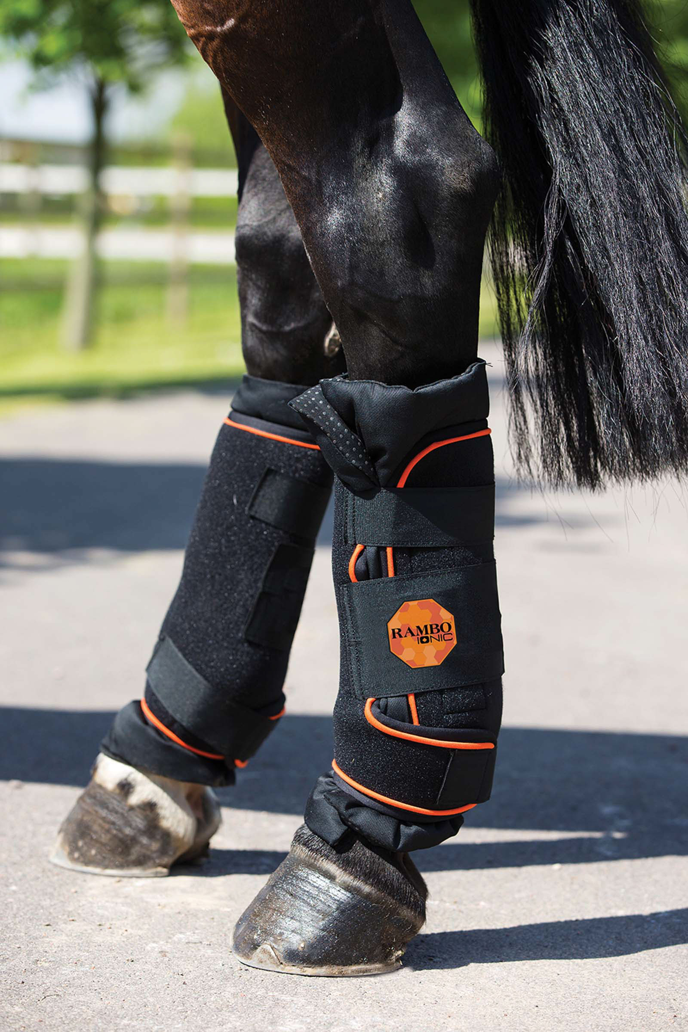 Rambo ionic cheap stable boots