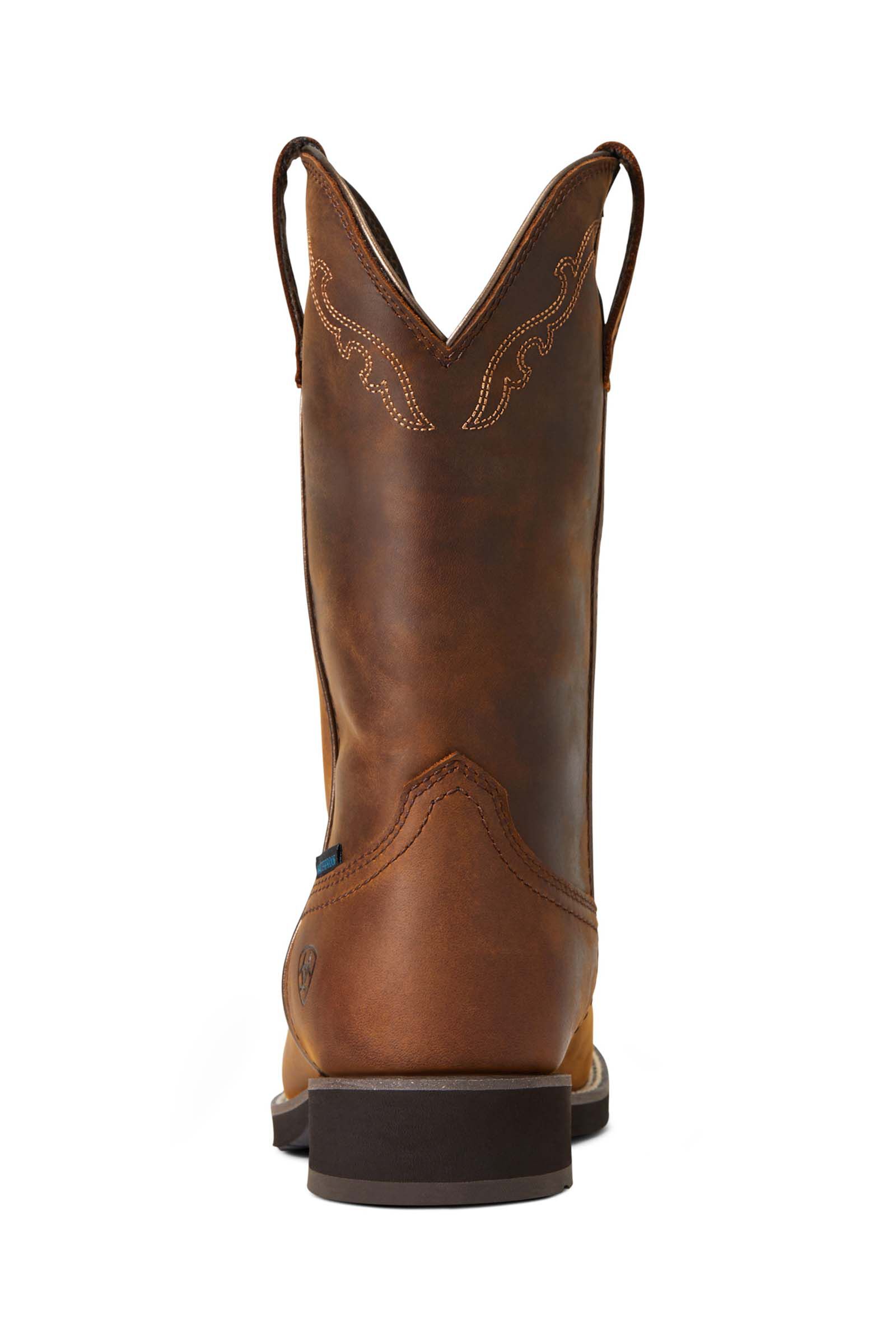 Ariat women's deals delilah boots