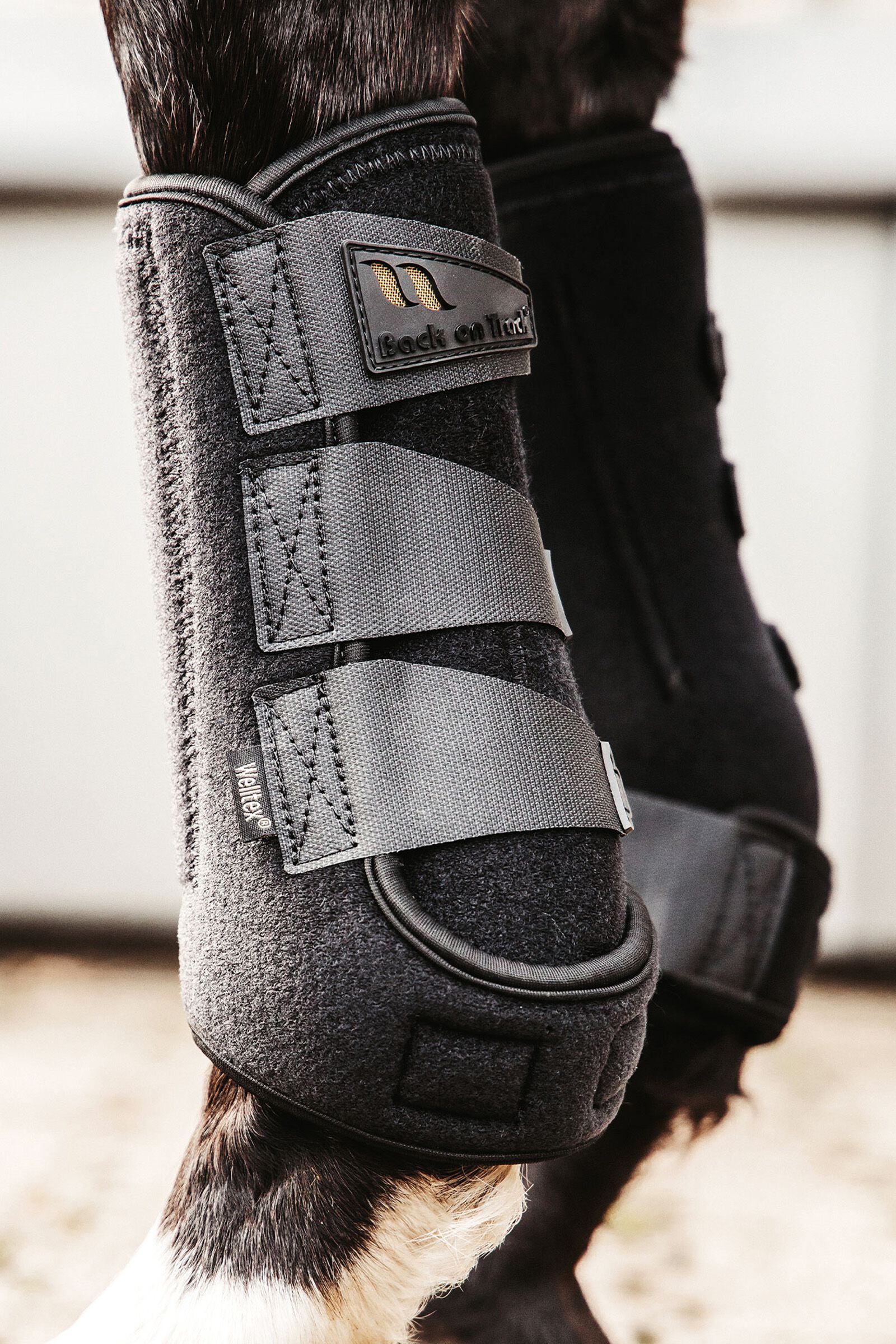 Horse hotsell exercise boots