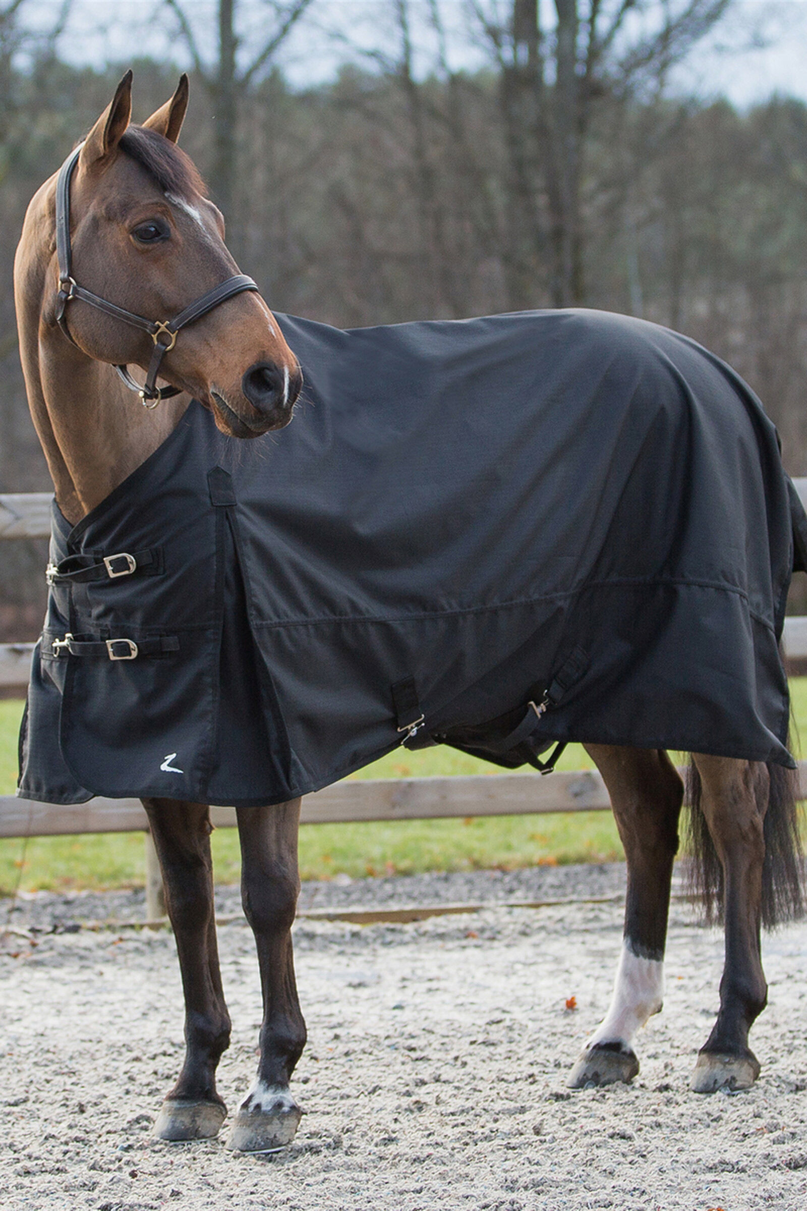 Buy horse online equipment online