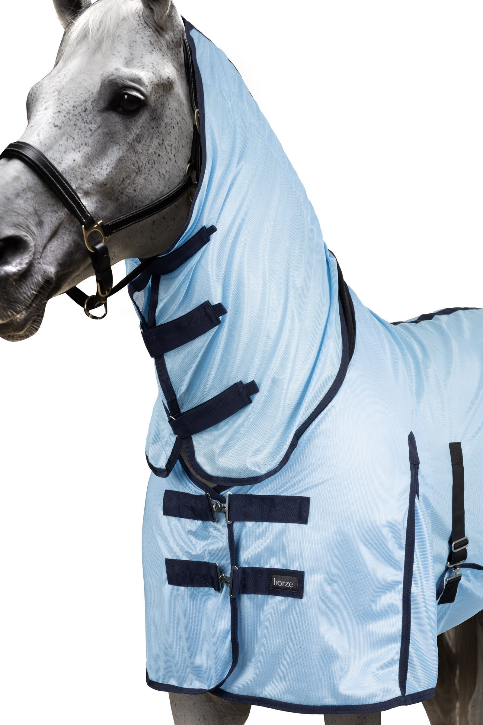 Cheap store horse stuff