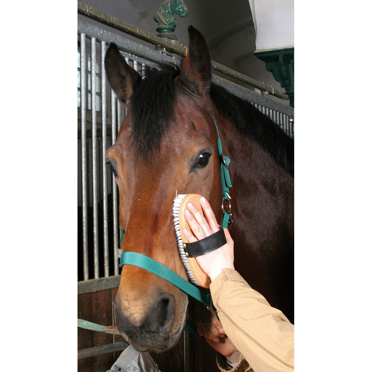 Horse toothbrush sale