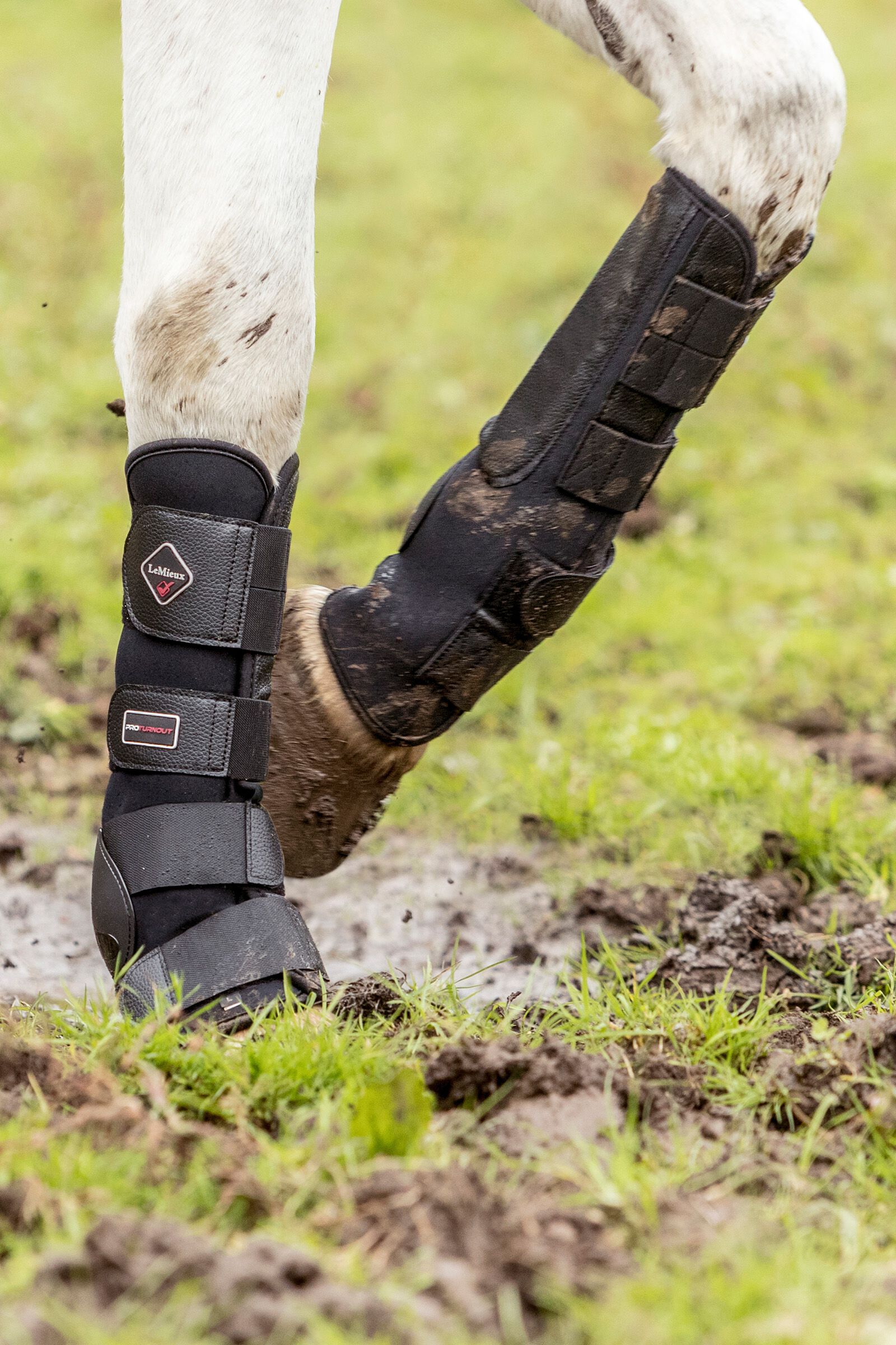 Buy LeMieux Turnout Boots horze.eu
