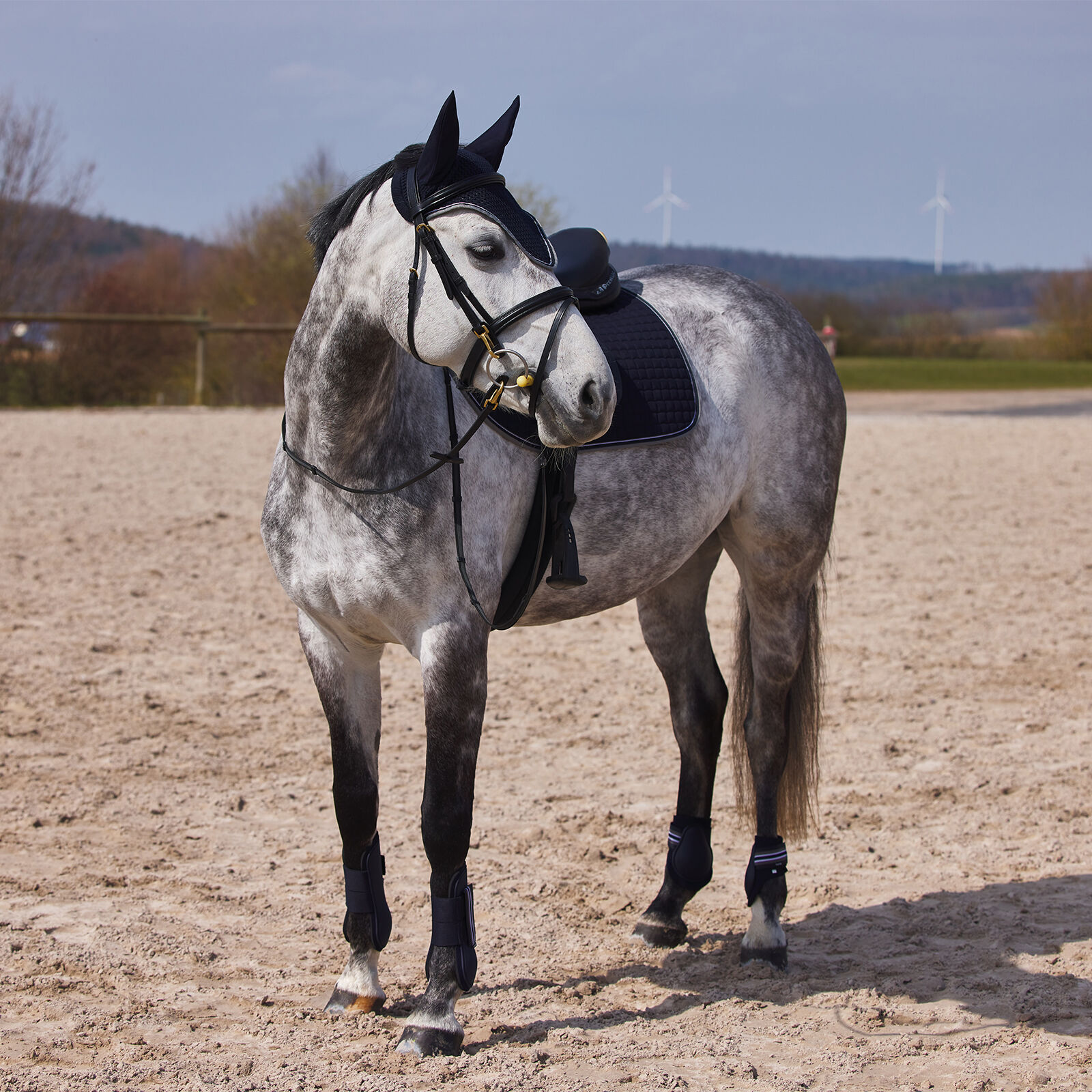 Grey tendon boots best sale