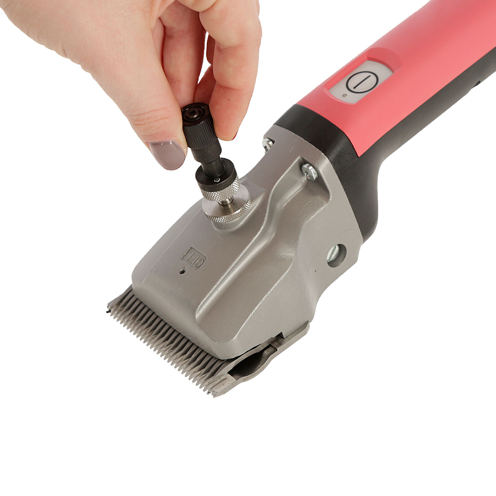 Aesculap bonum on sale clippers