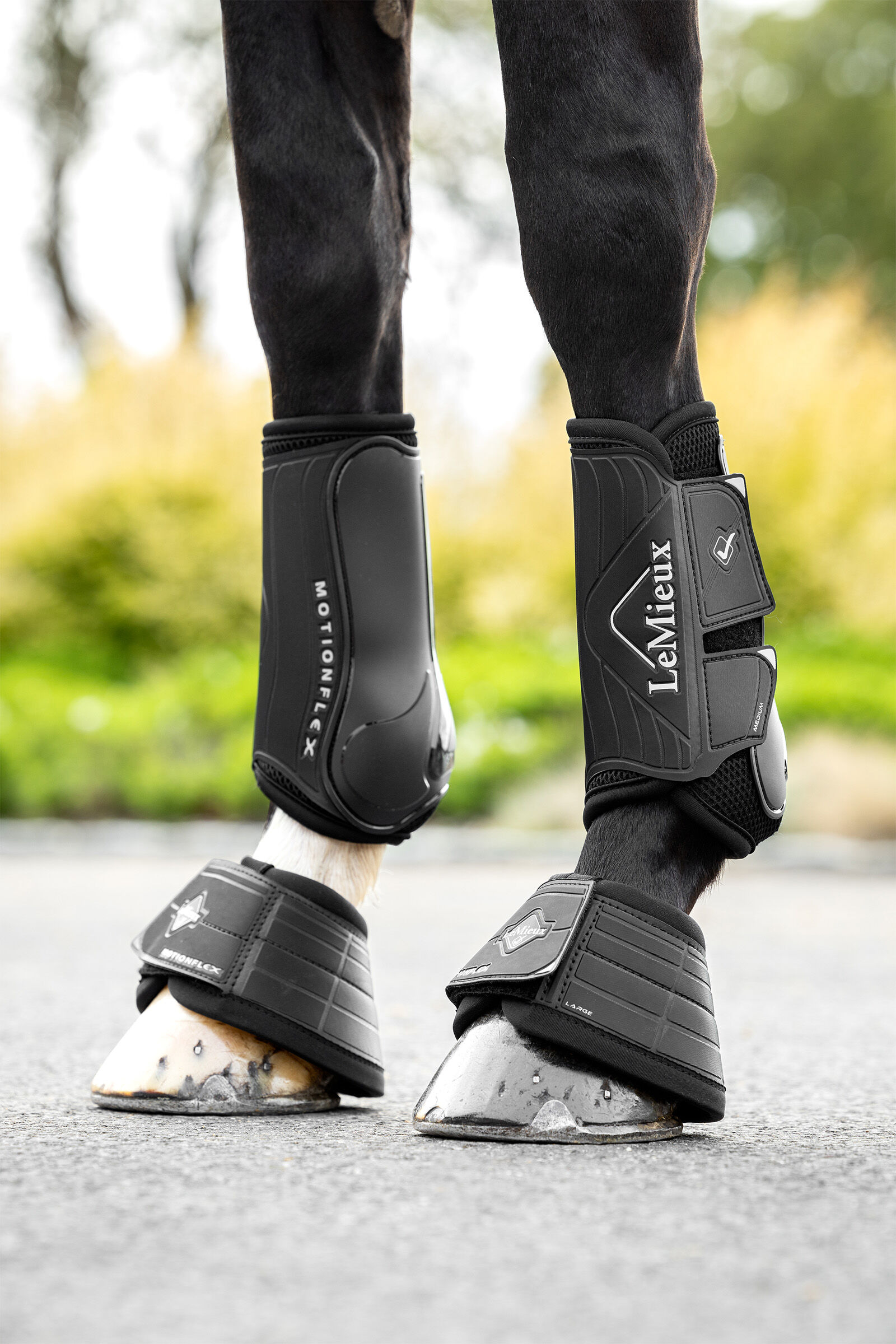 Le mieux dressage new arrivals boots