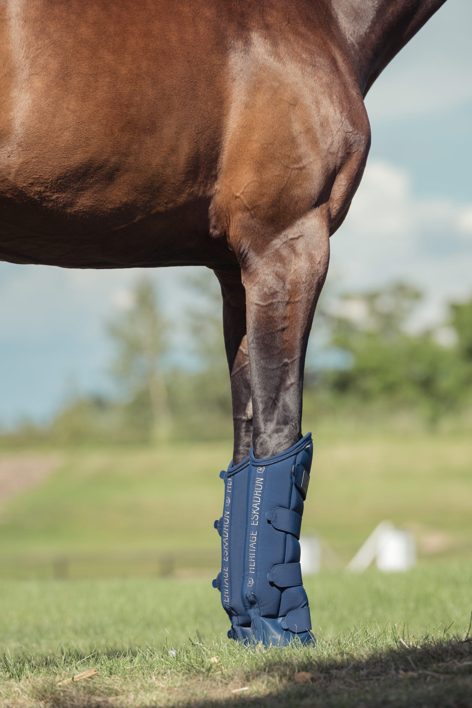 Travel Stable Boots for Horses horze.eu