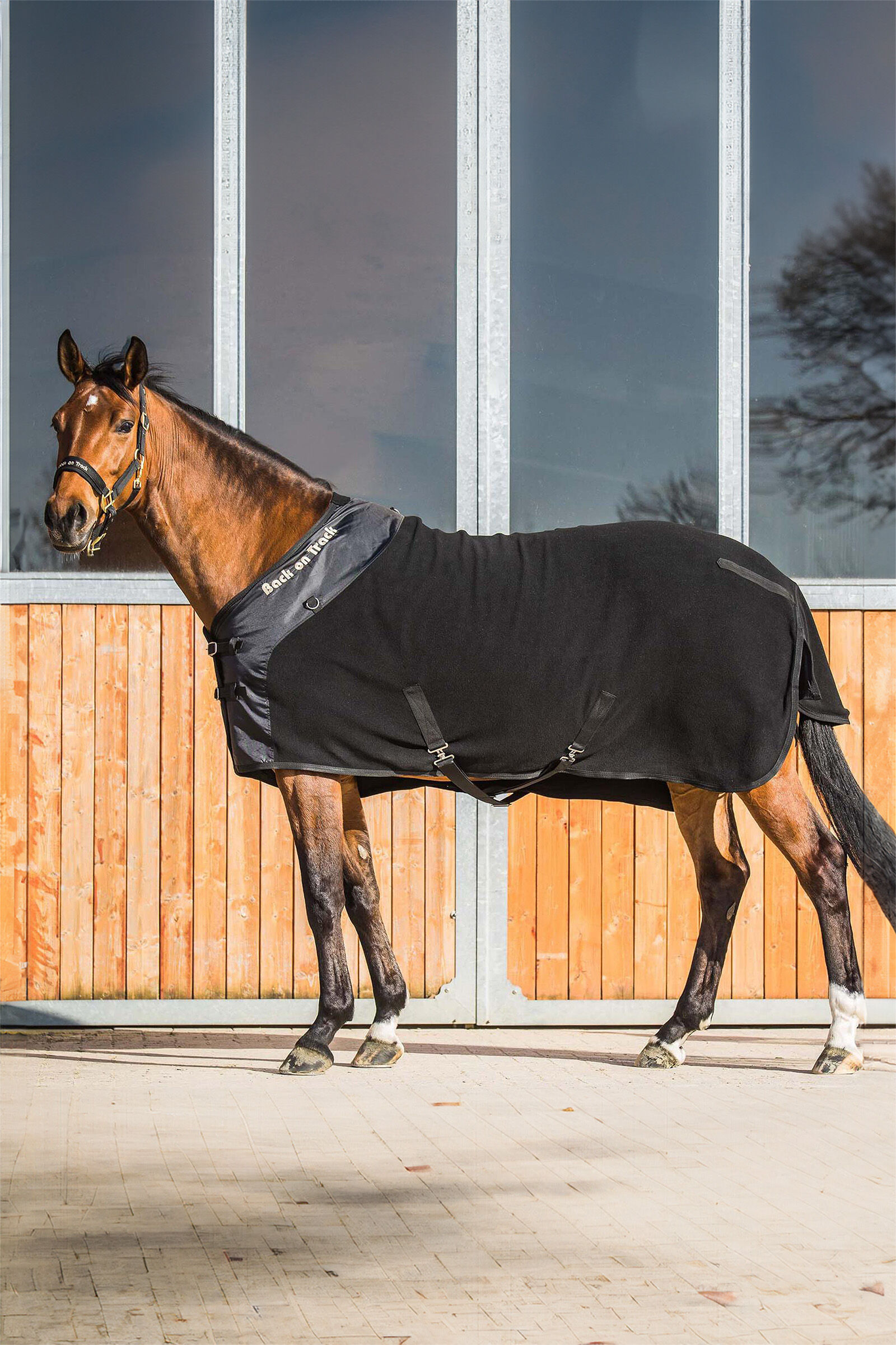 Buy Back on Track Supreme Fleece Rug horze.eu