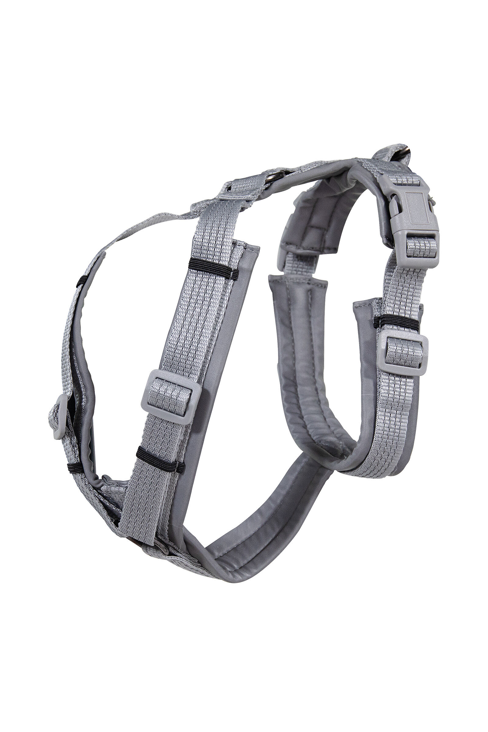 Active outlet dog harness