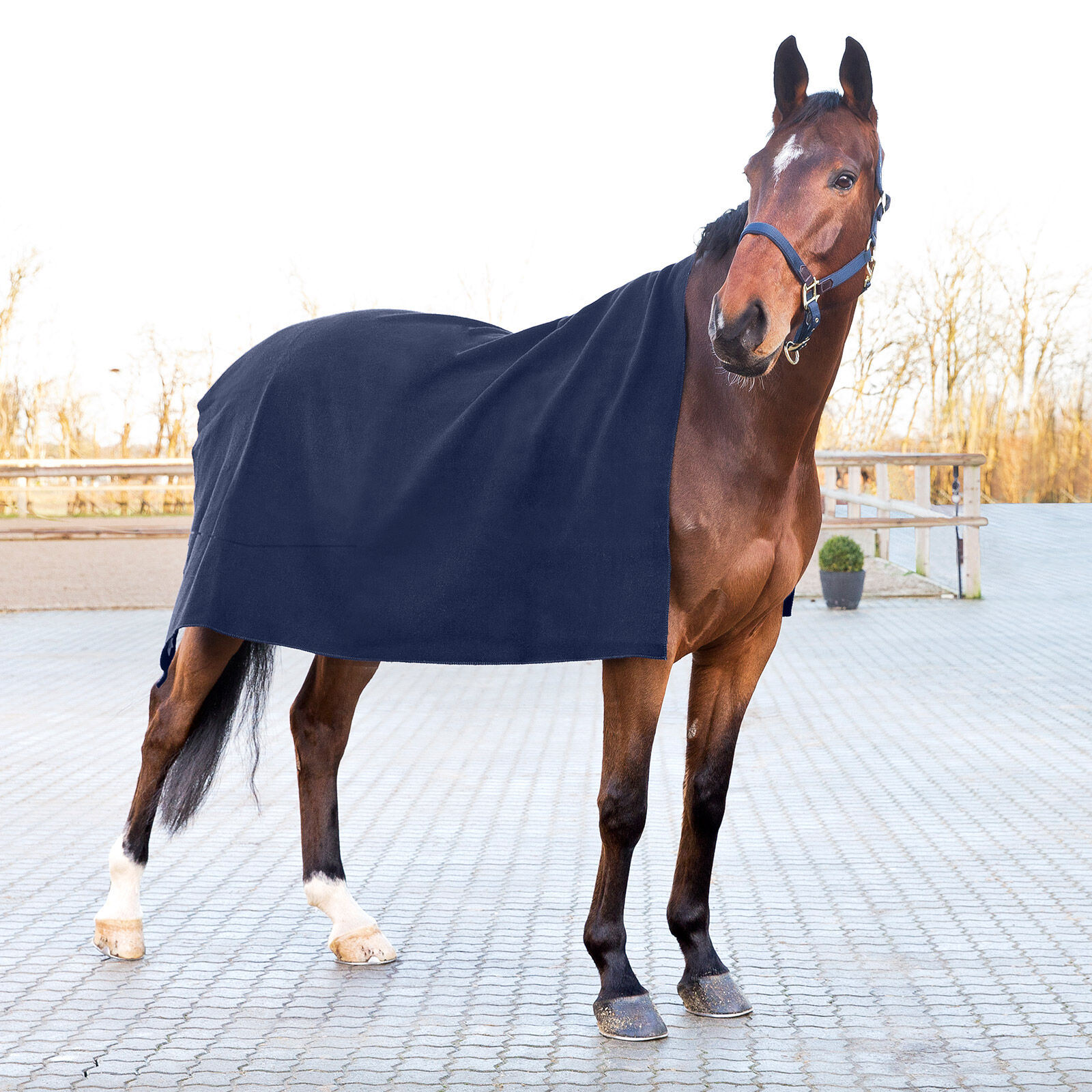 Buy Horze Vail Square Wool Cooler horze.eu