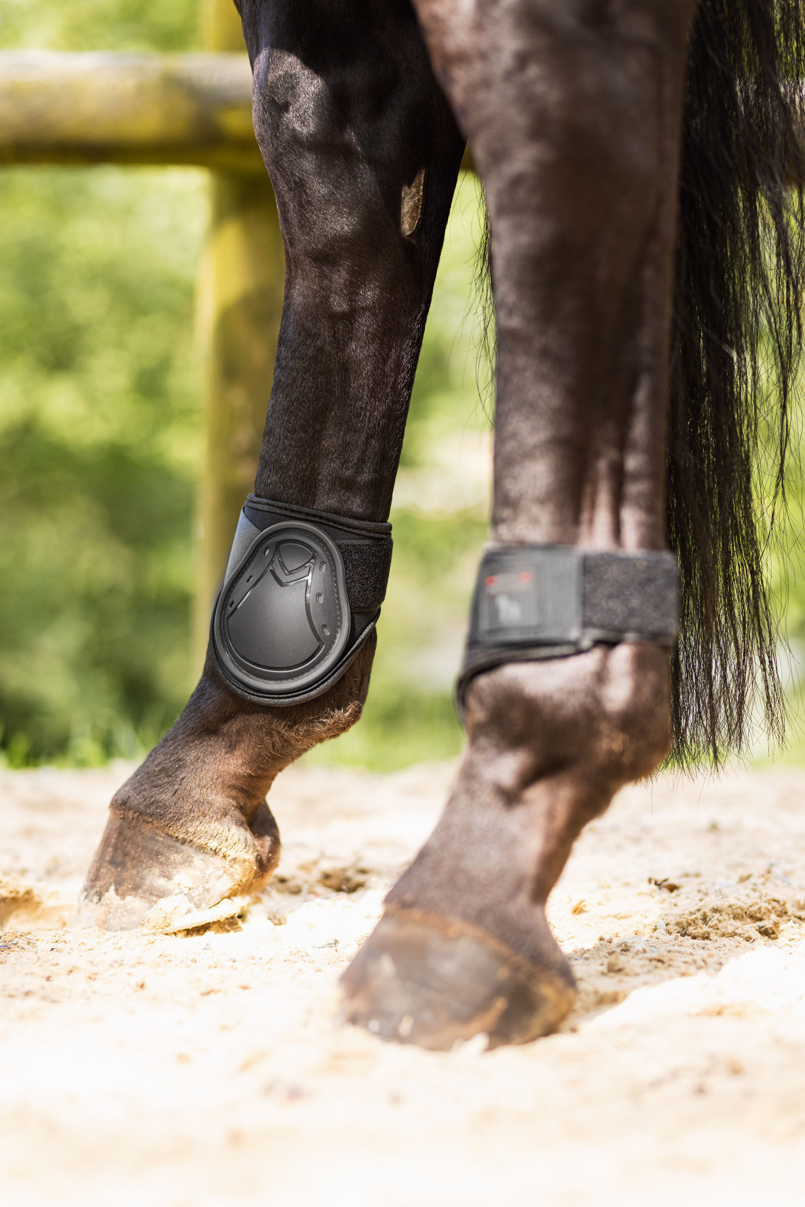 Tendon and fetlock boots shop